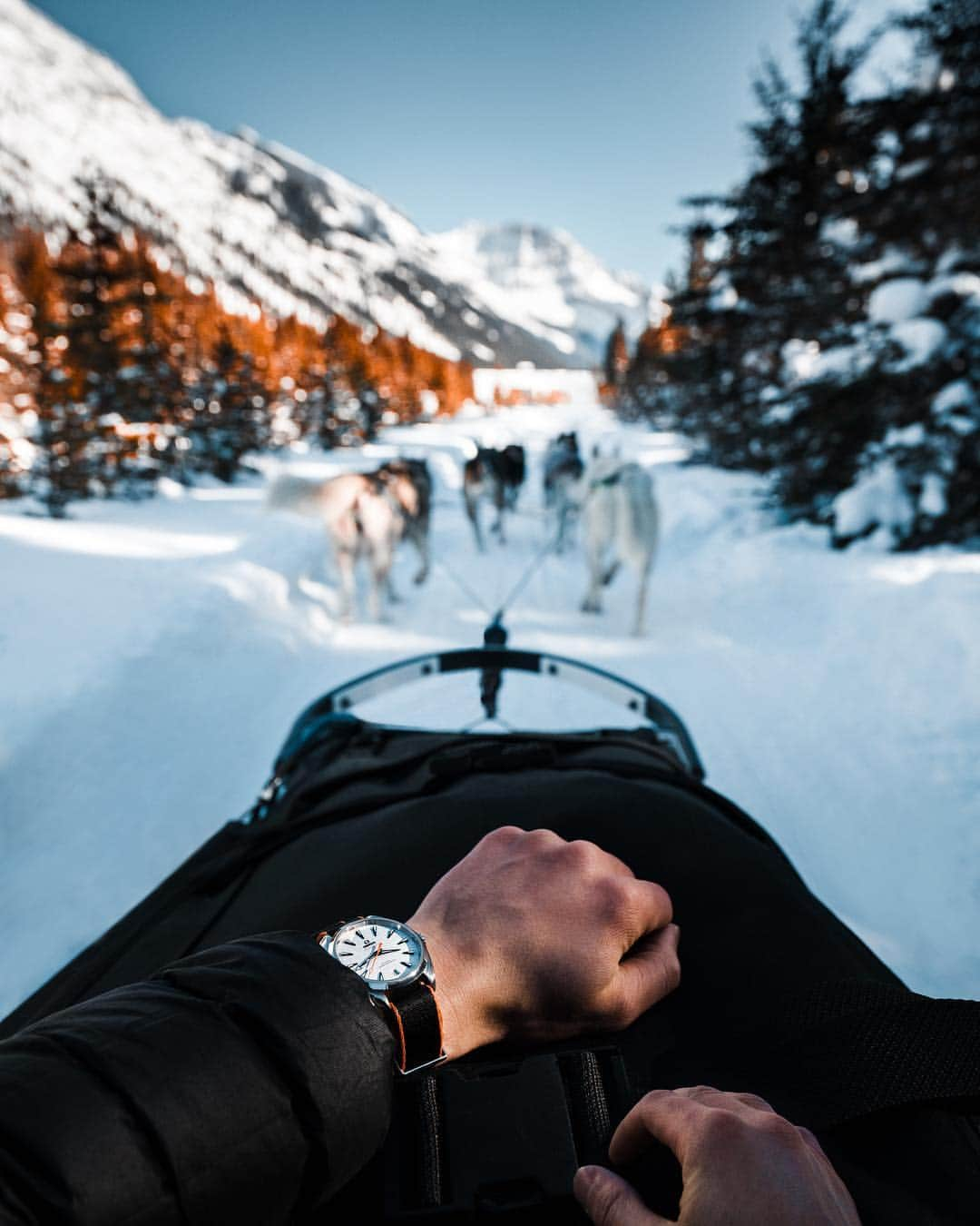 オメガさんのインスタグラム写真 - (オメガInstagram)「#Seamaster / #OMEGAmychoice When adventure calls, an #OMEGANATO strap is the perfect answer. @WatchLuke wears his on a #SeamasterAquaTerra」4月19日 23時51分 - omega