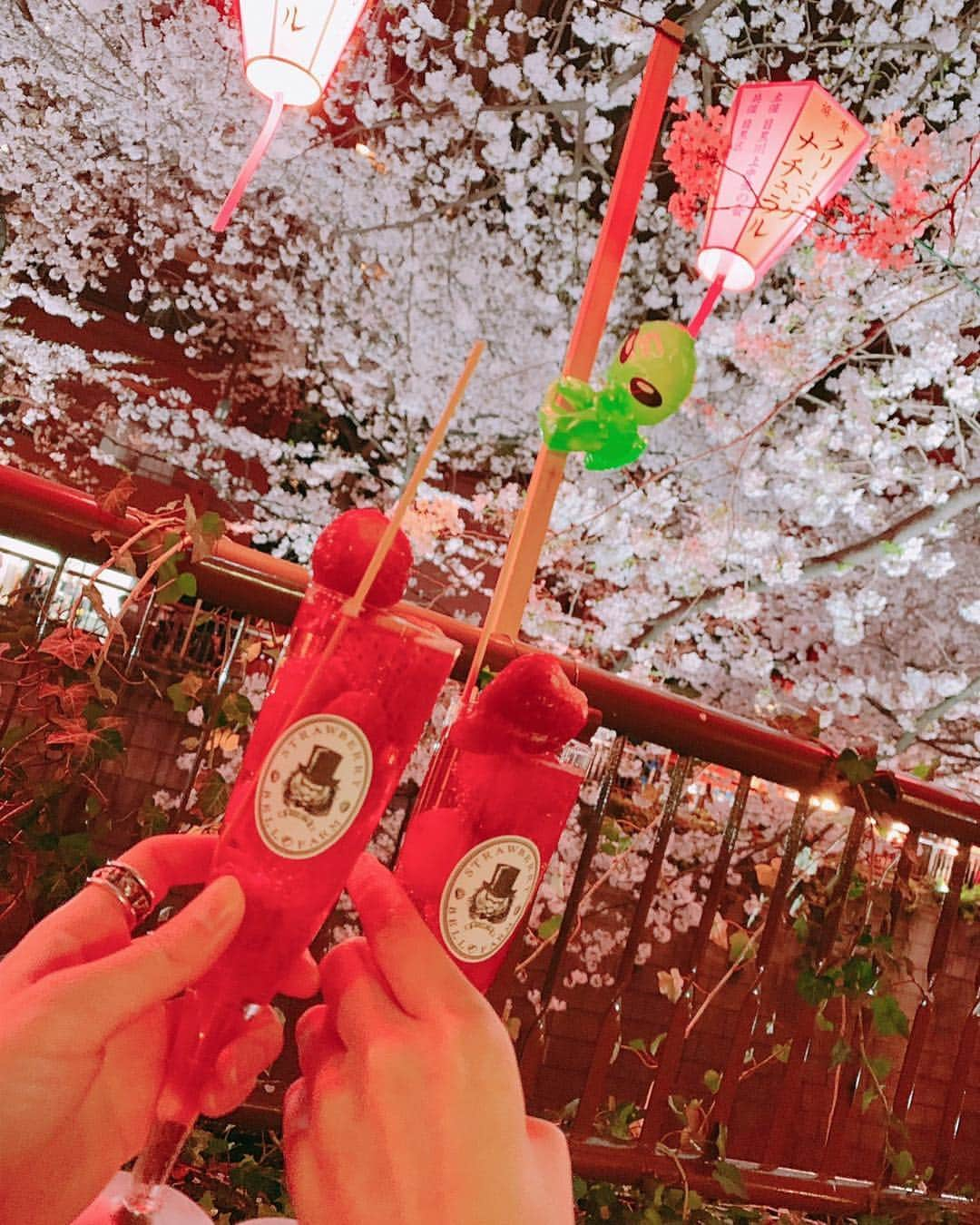 虹のコンキスタドールさんのインスタグラム写真 - (虹のコンキスタドールInstagram)「いつぞやのお花見🌸🍡おはなみゆてん〜！ これぞインスタ映え！な！苺スパークリングうまみぽよ( ∩'-'🍓⊂ ) 謎の宇宙人やら人形がいてすぎょいとなりましたっ笑  #お花見 #桜 #苺 #目黒川 #中目黒 はおしゃれだね #インスタ女子 #かたおかみゆ #片岡未優 #虹コン #2zicon #ニジスタグラム #圧倒的かたおかみゆ」4月19日 23時52分 - 2zicon