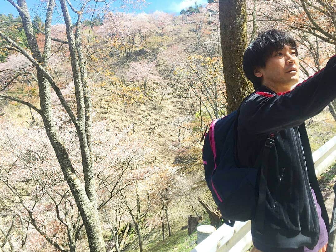 町田星児さんのインスタグラム写真 - (町田星児Instagram)「山がイヤで実家を出たのに、何故山に登るのか………。 #吉野山  知らん！どうでもええわ！ そんな事より、ライブ来てくれ！」4月20日 0時33分 - machidaseiji
