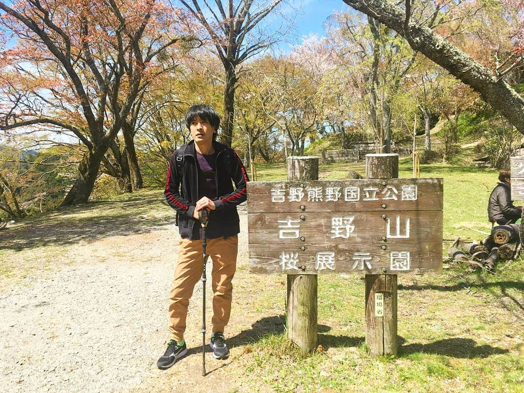 町田星児さんのインスタグラム写真 - (町田星児Instagram)「山がイヤで実家を出たのに、何故山に登るのか………。 #吉野山  知らん！どうでもええわ！ そんな事より、ライブ来てくれ！」4月20日 0時33分 - machidaseiji