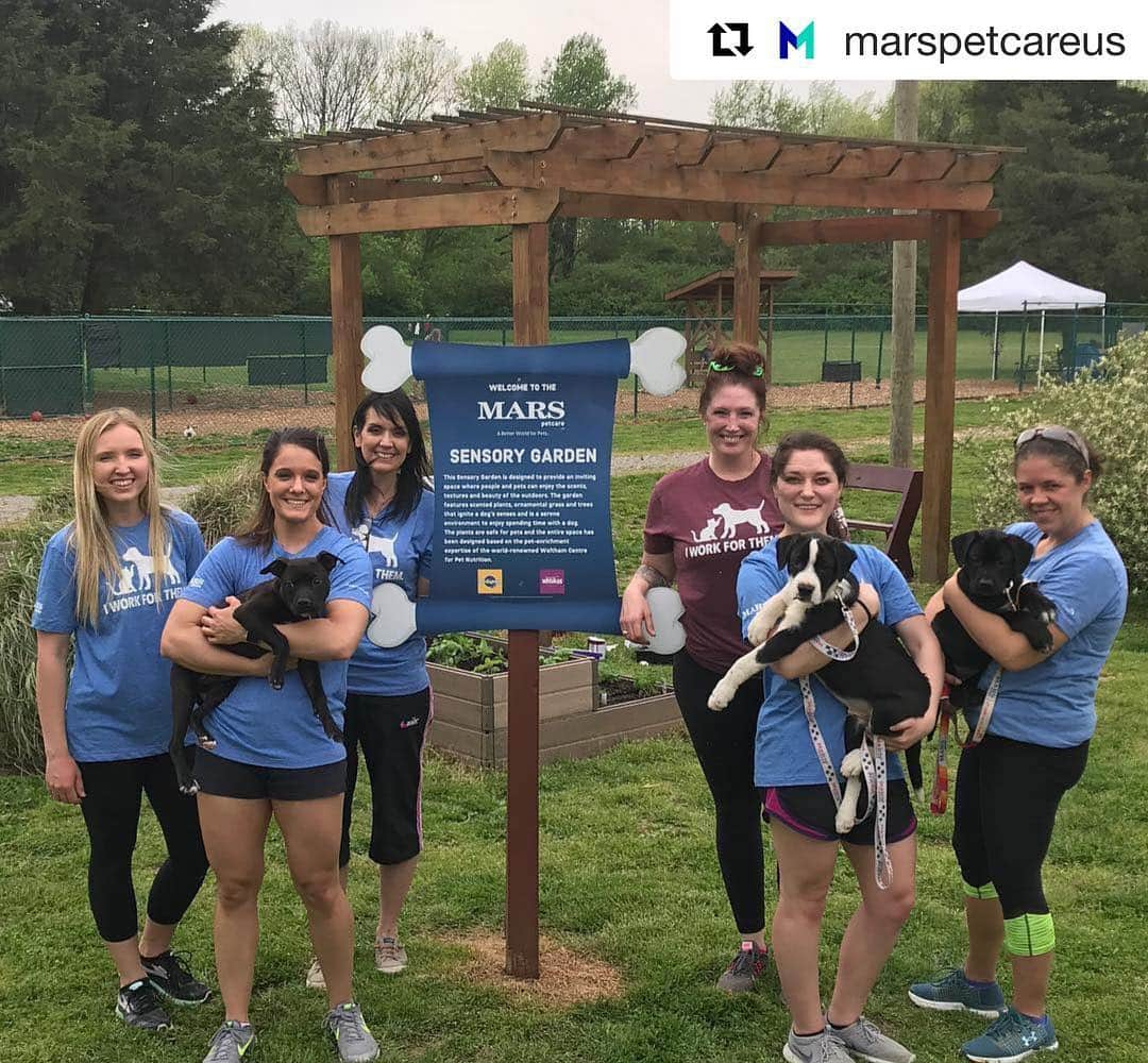 Marsさんのインスタグラム写真 - (MarsInstagram)「🙌 Thank you to our @marspetcareus Associates who spent time making improvements at @wcanimalcenter. You make us #ProudlyMars! 🐶 . #volunteer #marsvolunteers #marsvolunteerprogram #shelter #shelterdogs #instagood #bettercitiesforpets #marslovespets #dogsofinstagram」4月20日 0時59分 - marsglobal