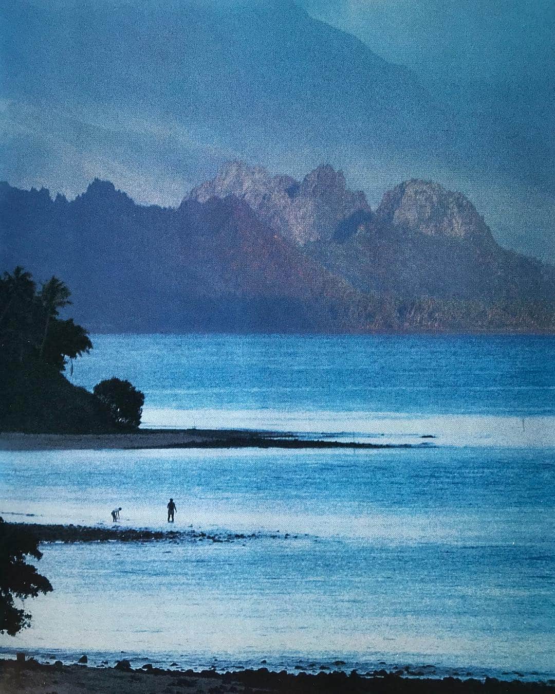Meganさんのインスタグラム写真 - (MeganInstagram)「Tahiti, 1981 〰 National Geographic Society @natgeo #tahiti #islandparadise」4月20日 1時09分 - zanzan_domus