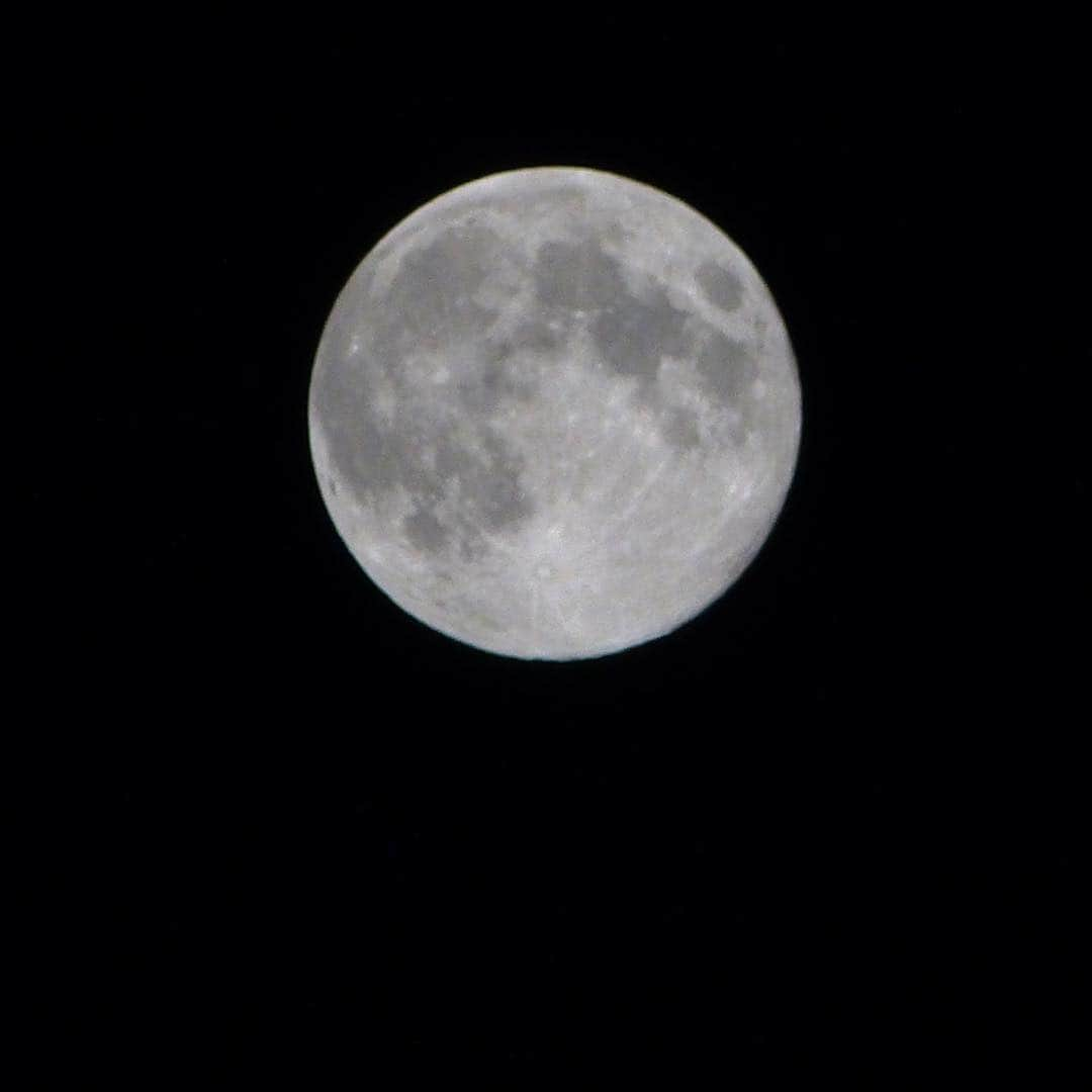 柴犬 たろさんのインスタグラム写真 - (柴犬 たろInstagram)「🌕 平成最後の満月をパチリ📸🌙.*·̩͙ オラ🐻月なんか興味ないから、 月みたいなボールで🎾楽しく遊んでたよ🍌💕🐖🎾 昔は餅つき兎が見えたのに🐇🍌💕 もう見えない！🐖🧚‍♂️ウサギいなくなった？ 昔は居たよね？😂 あたしの心がすさんだだけ？😡 昭和最後の日は特別に思わなかったのに、 なんか特別、歳とったんだべな👵🥳 泣けるわ❤この元号であたしもお陀仏かな？ 𓀫 昭和、平成、令和、3つも生きた 𓃒 #平成最後の満月で遊ぶ🐖 #令和もよろしくね🐖💕 #shibainu #柴犬 #Japanesedog」4月20日 1時44分 - tarochantarochan