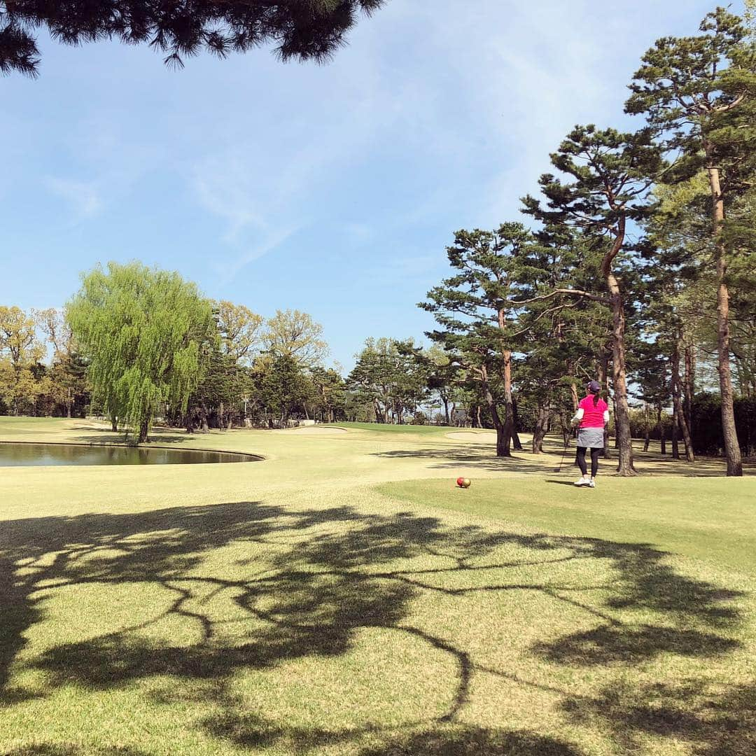 堀井亜生さんのインスタグラム写真 - (堀井亜生Instagram)「桜咲く中ゴルフをしました🌸  飛距離が出るようになって断然楽しくなってきました🏌️‍♀️ 名門コースの行き届いたグリーンも素晴らしかったです。  #花見ゴルフ  #弁護士 #ホンマでっか #ワーママ」4月20日 2時03分 - aoi_horii