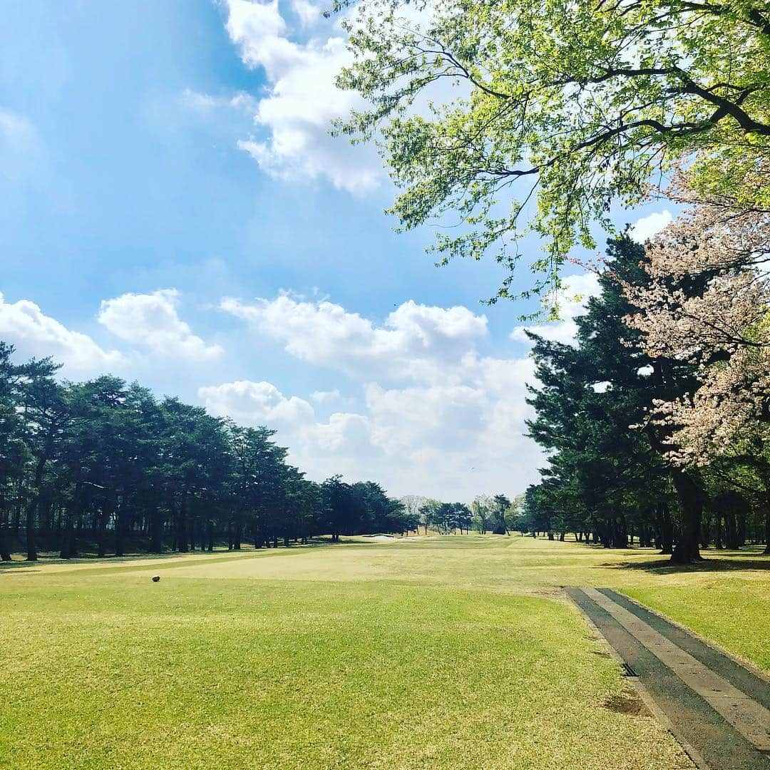 堀井亜生さんのインスタグラム写真 - (堀井亜生Instagram)「桜咲く中ゴルフをしました🌸  飛距離が出るようになって断然楽しくなってきました🏌️‍♀️ 名門コースの行き届いたグリーンも素晴らしかったです。  #花見ゴルフ  #弁護士 #ホンマでっか #ワーママ」4月20日 2時03分 - aoi_horii