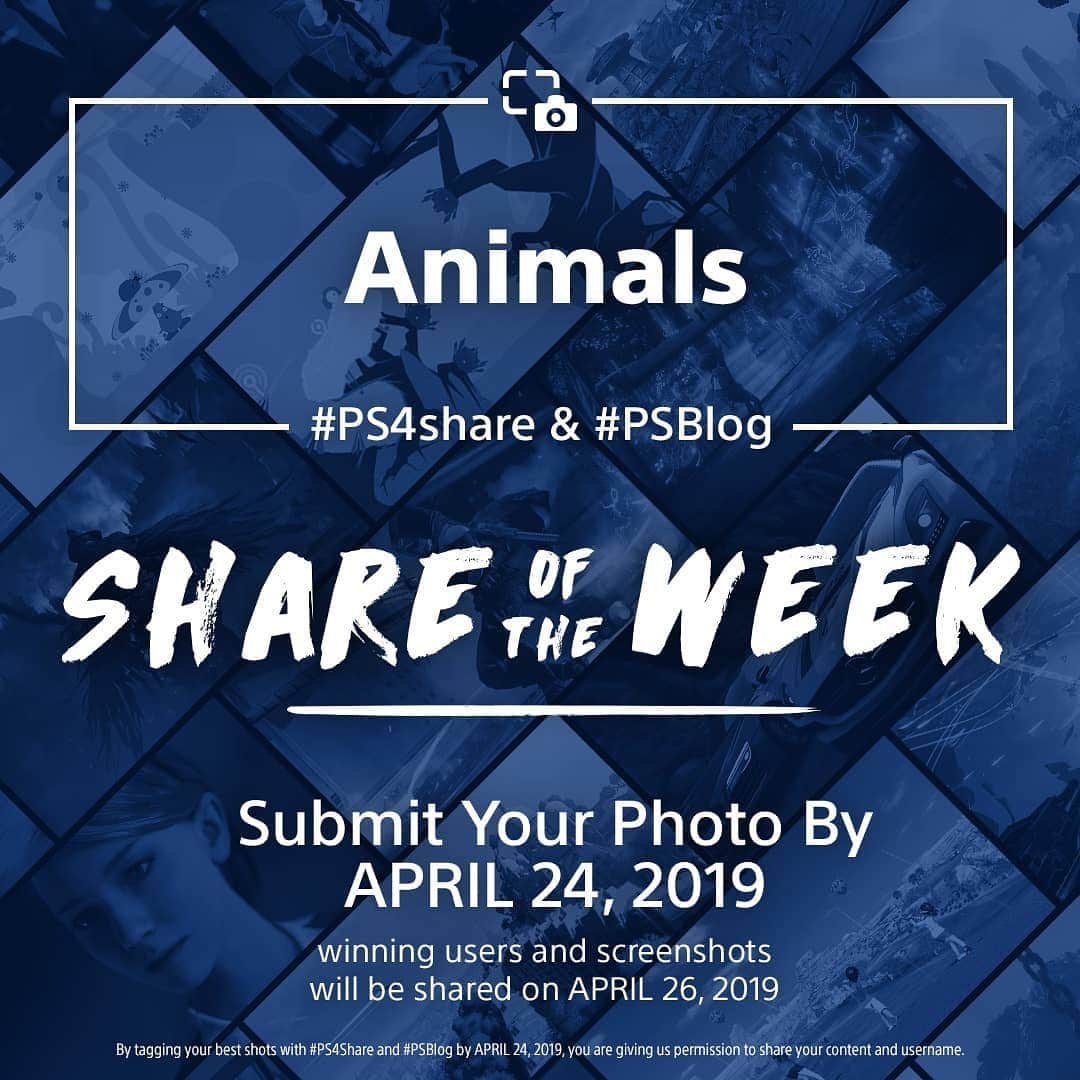 PlayStationさんのインスタグラム写真 - (PlayStationInstagram)「Share of the Week is in full bloom with these Spring-themed shares. Next Week’s Theme: Animals」4月20日 2時01分 - playstation