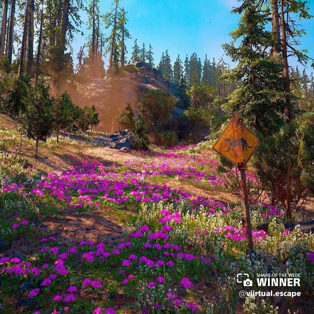 PlayStationさんのインスタグラム写真 - (PlayStationInstagram)「Share of the Week is in full bloom with these Spring-themed shares. Next Week’s Theme: Animals」4月20日 2時01分 - playstation