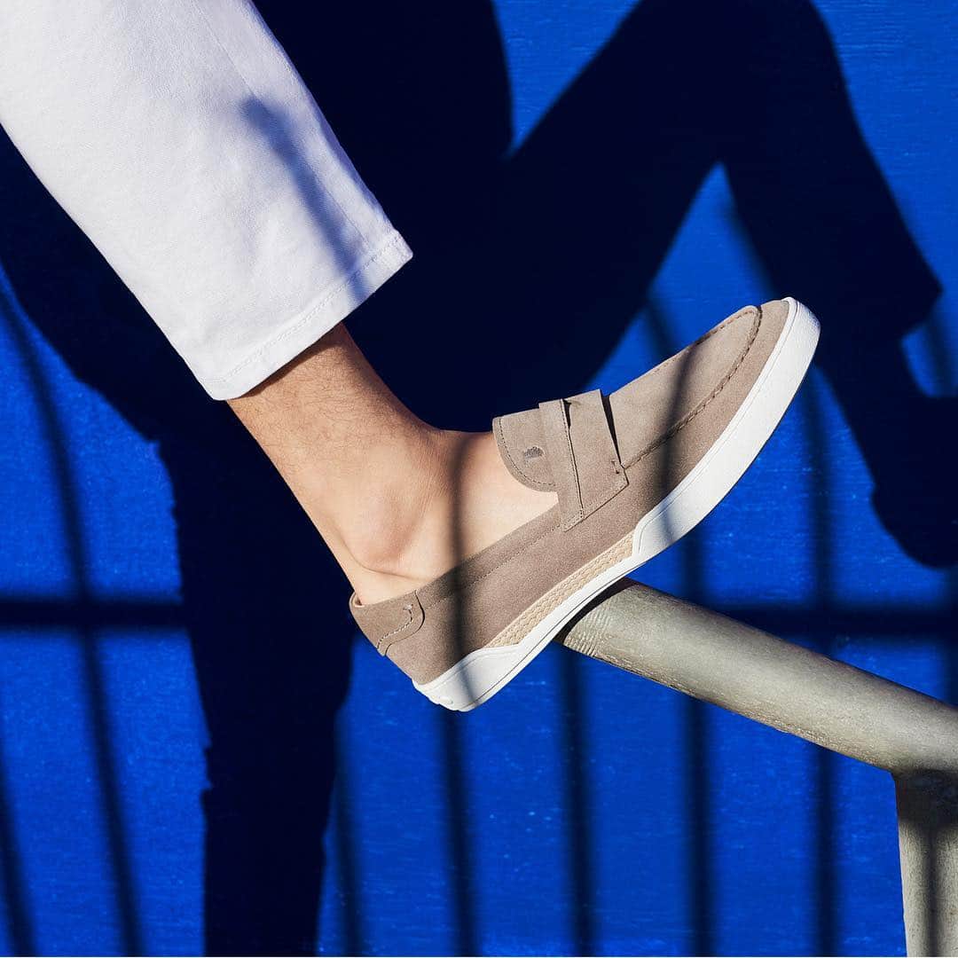トッズさんのインスタグラム写真 - (トッズInstagram)「Vibrant blue and suede leather for the new #Tods loafers. More at tods.com」4月20日 2時08分 - tods