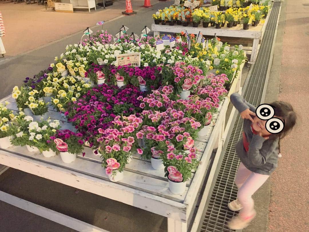 山根良顕さんのインスタグラム写真 - (山根良顕Instagram)「娘と買い物ついでにお花売り場を見てたら急に撮影会❤️ どこに行っても楽しめるもんだね〜😆そしてほんとに大きく女の子っぽくなってきたなぁ〜 #３歳 #もうすぐ４歳 #かわいい #doughter #flower」4月20日 2時18分 - ungirls_yamane