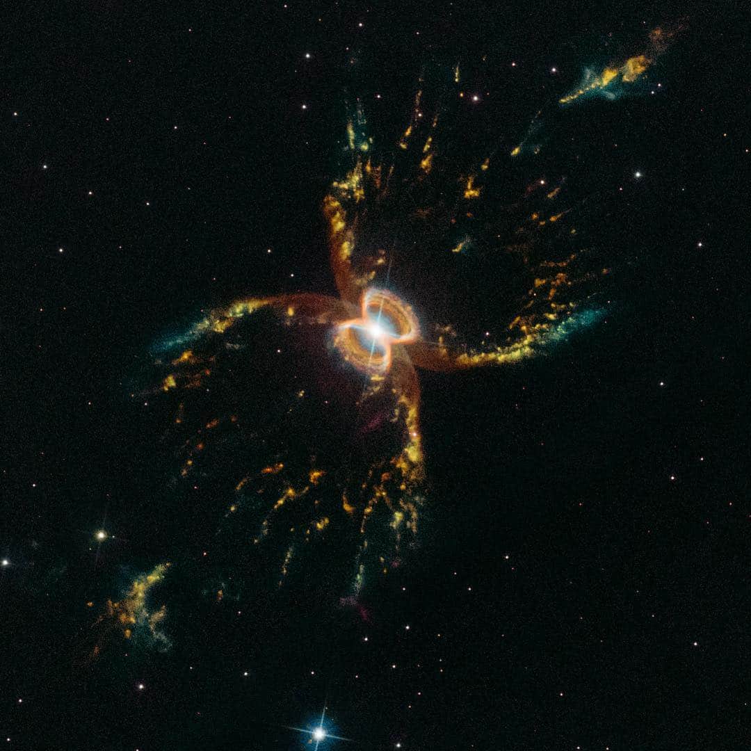 のインスタグラム：「@NASAHubble celebrates its 29th anniversary with a colorful look at the Southern Crab Nebula ✨🦀 ✨  The festive, colorful nebula, is located several thousand light-years from Earth in the southern hemisphere constellation of Centaurus. It appears to have two nested hourglass-shaped structures that were sculpted by a whirling pair of stars in a binary system. The duo consists of an aging red giant star and a burned-out star, a white dwarf. The red giant is shedding its outer layers. Some of this ejected material is attracted by the gravity of the companion white dwarf.  The result is that both stars are embedded in a flat disk of gas stretching between them. This belt of material constricts the outflow of gas so that it only speeds away above and below the disk. The result is an hourglass-shaped nebula.  Credit: NASA, ESA, and STScI #nasagoddard #space #crab #nebula #science #stars #star」
