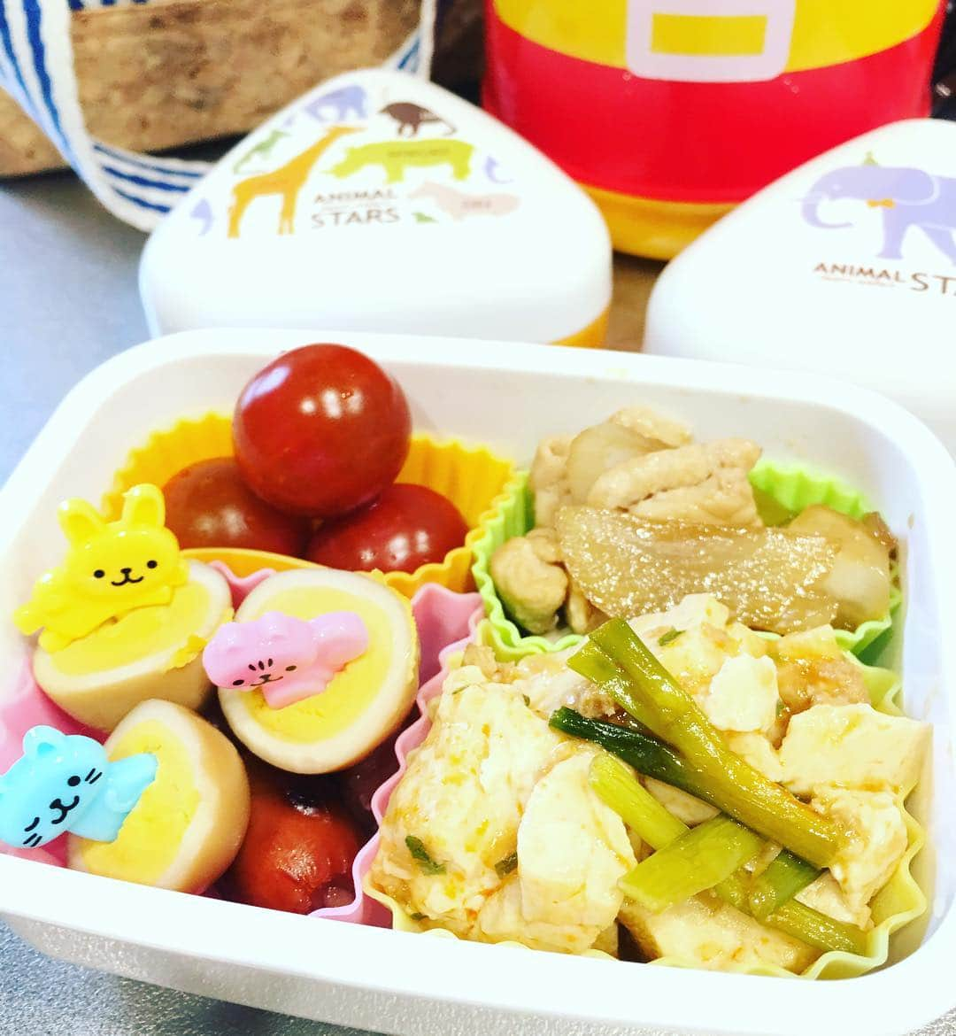 藤井惠さんのインスタグラム写真 - (藤井惠Instagram)「さくちゃん道場弁当  #弁当 #お弁当 #夜ご飯はいつも道場 #今日は緑がありませんでした #ブロッコリー #全部食べてくれて母嬉し」4月20日 2時58分 - megumi_fujii