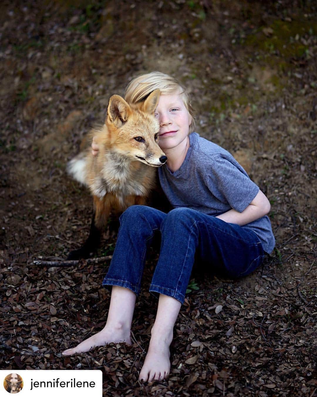 のインスタグラム：「We are showering you with beautiful photos of the connection between canids and humans!!! This was truly a special treat!!! How stunning is this photos?  A huge thank you to all of our followers who motivate and inspire us to make this non-profit successful, and the amazingly talented artists that are willing to create such magic with their lenses, and those people willing to come out and love our Ambassadors and support what we do!!! . Posted @withrepost • @jenniferilene Oisin’s favorite animal is a fox and this was a dream come true for him. 🦊✨ Viktor is one of @jabcecc’s Russian domesticated fox ambassadors. He’s truly a ham. So is Oisin!  I’ve been following Oisin’s mom’s beautiful lifestyle work (@ifyouwereachild) for a while and it was such a pleasure to photograph her adorable kiddos with @jabcecc’s  foxes! 🥰 . . . @jabcecc @ifyouwereachild #fox #vulpesvulpes #redfox #russianfox #jabcecc #socal #supportsmallbusiness #deaftalent #deafphotographer #deafcommunity #foxlover #foxlovers #foxlove #foxesofinstagram #foxes #foxy #viktor #foxinternational #california  #ilovefoxes #foxesofig #moodygrams #animalsco #animallover」