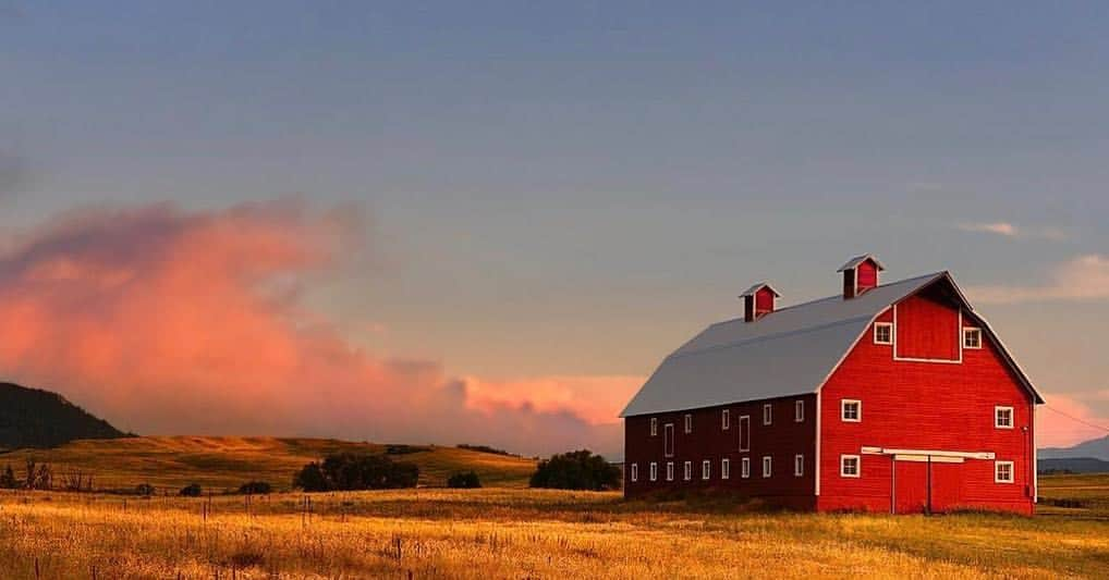 NikonUSAさんのインスタグラム写真 - (NikonUSAInstagram)「From #NikonAmbassador @daveblackphoto: “Greenland Golden Hour… #NikonD810, ISO 1000, 1/500 at f/8, Nikon 24-70mm lens at 70mm. It isn’t the subject that makes me stop and make a picture, it’s the allure of fading sunset light that is so powerful and mysteriously attractive. #NikonNoFilter #landscapephotography #coloradolandscapes #goldenhour”」4月20日 3時21分 - nikonusa