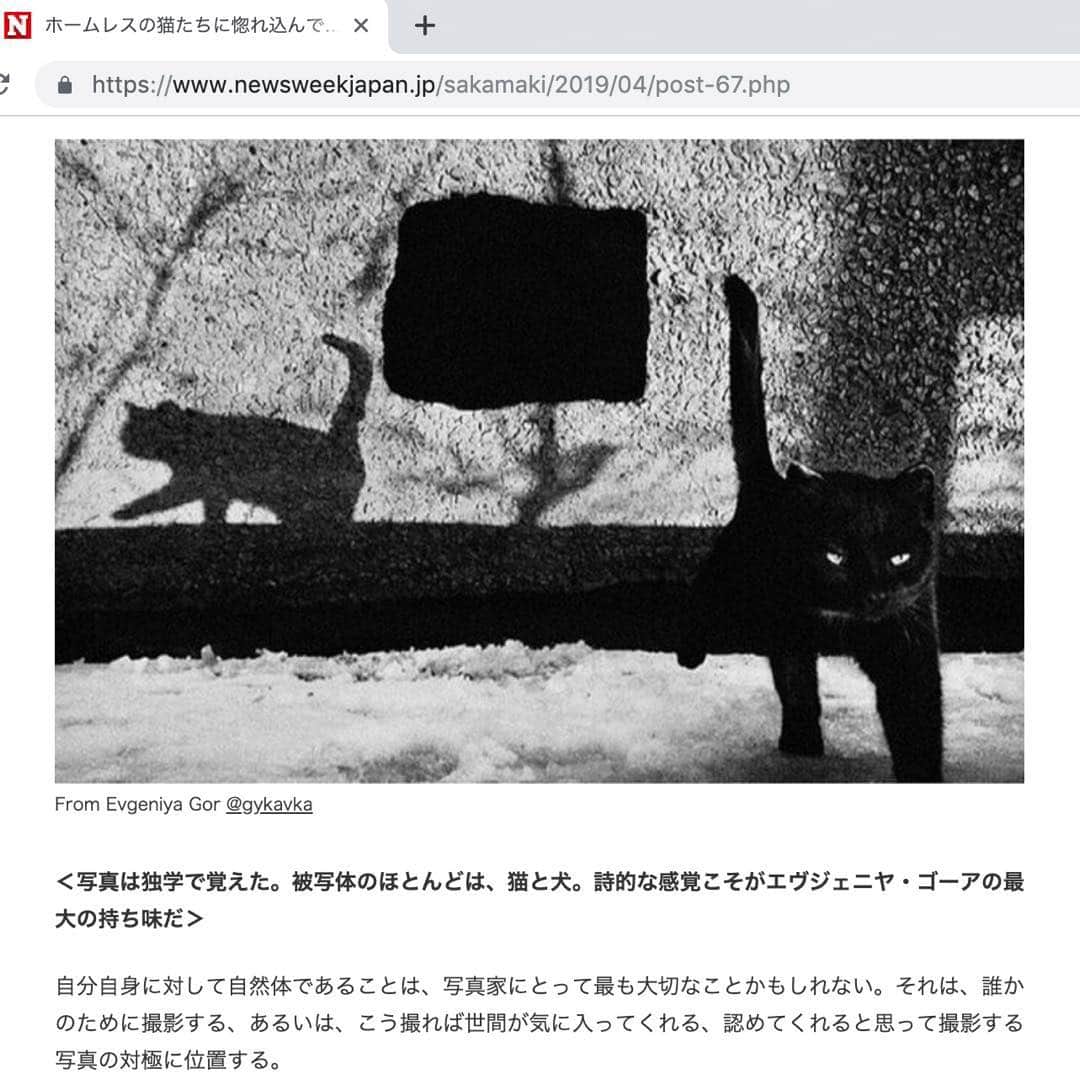 Q. Sakamakiさんのインスタグラム写真 - (Q. SakamakiInstagram)「お知らせです。ニューズウィーク 日本版サイト での連載「Instagramフォトグラファーズ」https://www.newsweekjapan.jp/sakamaki/2019/04/post-67.phpです。インスタグラムを通して世界中を感銘させ、楽しませているフォトグラファーやアーティストを紹介していきます。第84回は、”ホームレスの猫たちに惚れ込んで...　カザフスタンの旧市街にて ” で、エヴジェニヤ・ゴーア @gykavkaです。 I would like to announce the 84th article of my "Instagram Photographers" blog on the Newsweek Japan. The blog introduces a photographer or artist around the world who, through Instagram, shares his/her great work, every two weeks or so. This time it features Evgeniya Gor @gykavka. https://www.newsweekjapan.jp/sakamaki/2019/04/post-67.php. Text in Japanese. @qsakamaki @newsweek_japan Thanks again, Evgeniya, great editor Morita-san @osakasoul and Newsweek Japan.」4月20日 3時30分 - qsakamaki