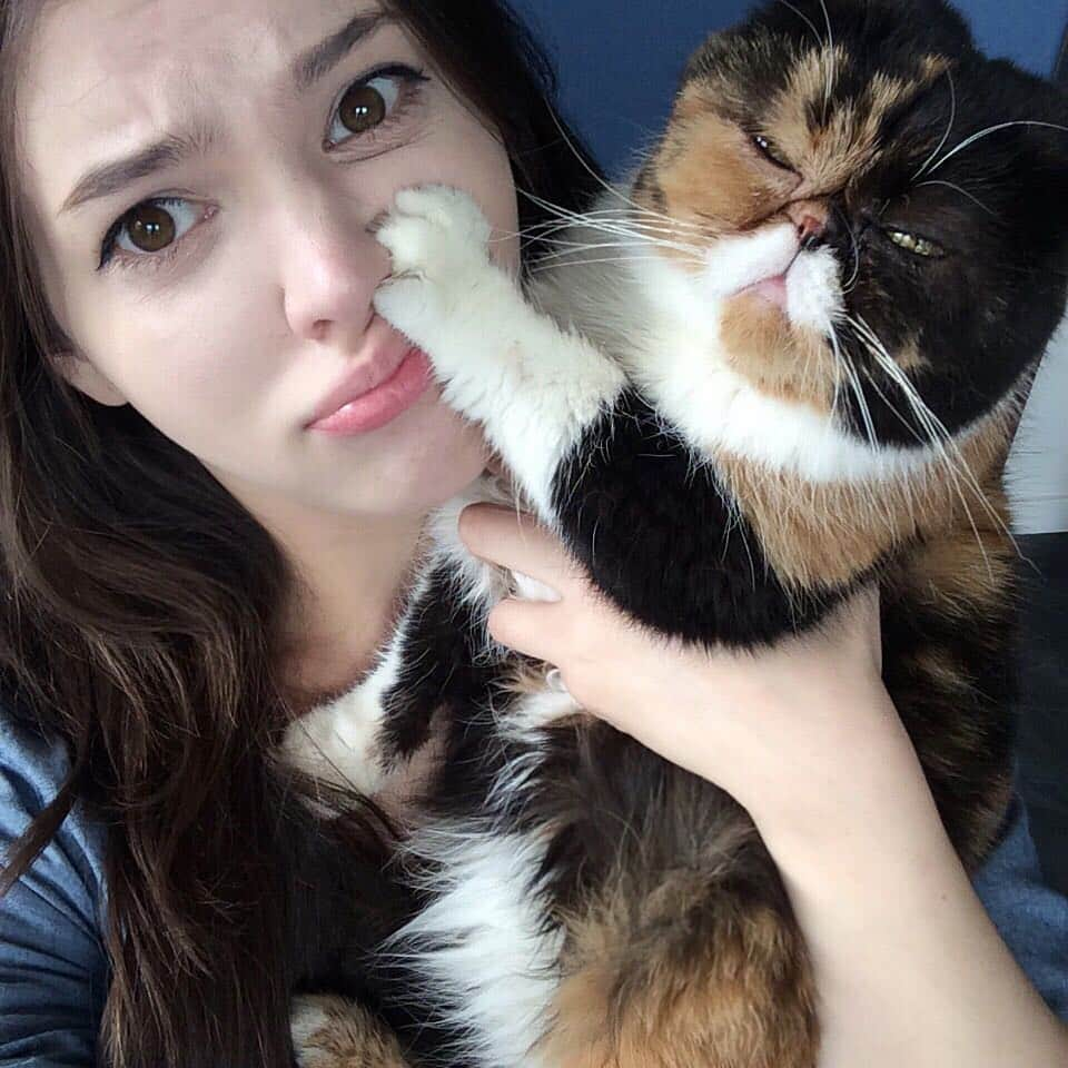 Pudgeさんのインスタグラム写真 - (PudgeInstagram)「Today is #NationalCatLadyDay 😸 Swipe to see Pudge reluctantly take a selfie with me. 😾 I grew up with dogs and one day decided I wanted a cat. Pudge is the first cat I’ve ever had and she’s forever turned me into a cat lady. 💕」4月20日 4時17分 - pudgethecat