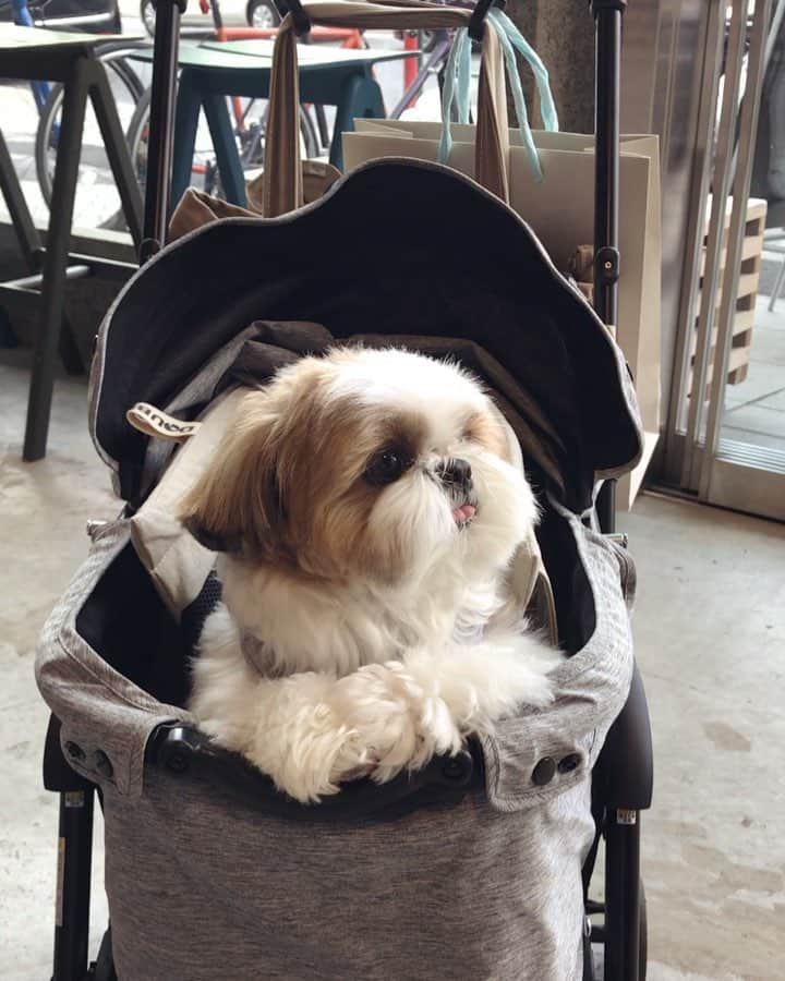 水嶋はちのグルメインスタ