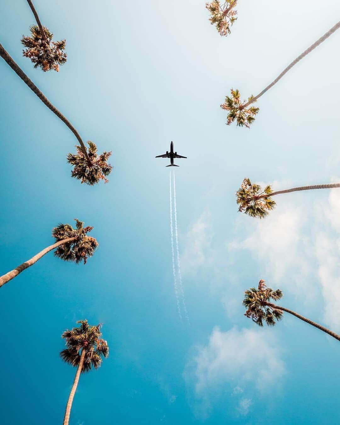 Canon Photographyさんのインスタグラム写真 - (Canon PhotographyInstagram)「A very creative shot from LA. We love it!  Photography | @kanecandrade  #la #losangeles #plamtrees #airplane #airport #beverlyhills」4月20日 16時06分 - cpcollectives