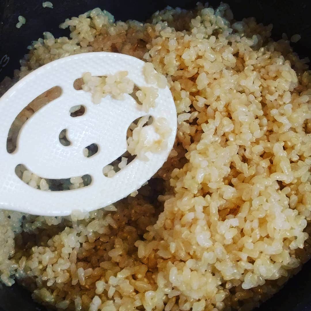 越中睦士さんのインスタグラム写真 - (越中睦士Instagram)「玄米炊いた☻  #玄米」4月20日 14時46分 - makotokoshinaka