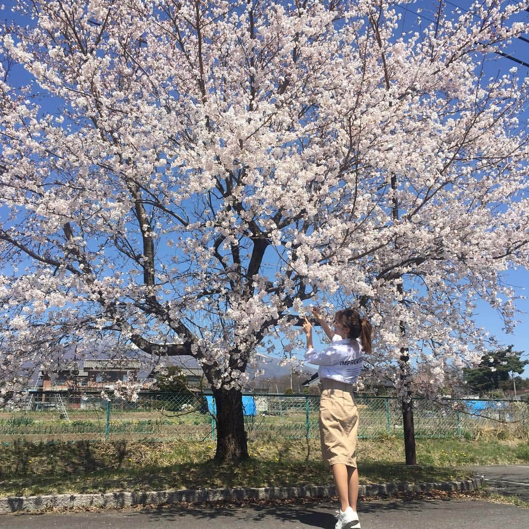 新山千春さんのインスタグラム写真 - (新山千春Instagram)「今日も雲一つない晴天🔆🔅の長野でロケ！！(*´╰╯`๓)♬ . 来年まで見納めと思ってた 🌸桜に予期せぬ再会💖！！ 青にピンク🌸🌸の コントラストが美しいなぁ😍💜💖🌈 .  こちら満開です🌸 _____________________________________________________🌴#LA 好き❤ #art 🎨好き#🌸 #Japaneseactress #casualcoordinate #denimcoordinate #makeup #model  #mama#mamastyle #Instagood #streetwear #mamacoordinate #hairarrange #streetfashion  #outfit #casualstyle  #outfitstyle #촬영 #粉我 #나를따르라  #fashionistas #dailylook #coodinate #いいね 💘#フォロー ありがとうございます🌹#新山千春  _____________________________________________🌴🌵🌴🌵」4月20日 15時02分 - chiharuuu_0114