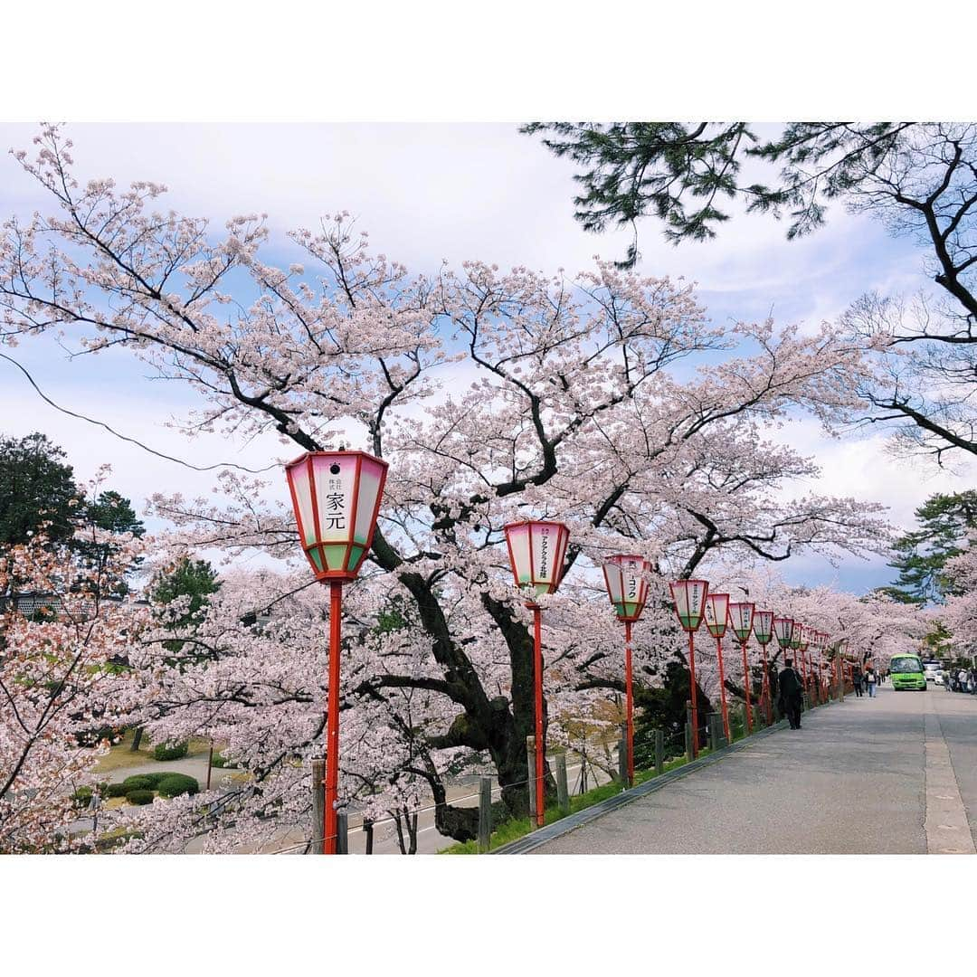 的場絢香さんのインスタグラム写真 - (的場絢香Instagram)「#20190412﻿ ﻿ 桜色コーデでお花見💕﻿ ﻿ 花より団子🌸🍡﻿ 三色団子といそべもち❤︎﻿ ﻿ _____________________________ #お花見 #桜 #金沢 #にこいち」4月20日 15時19分 - ayaka_matoba