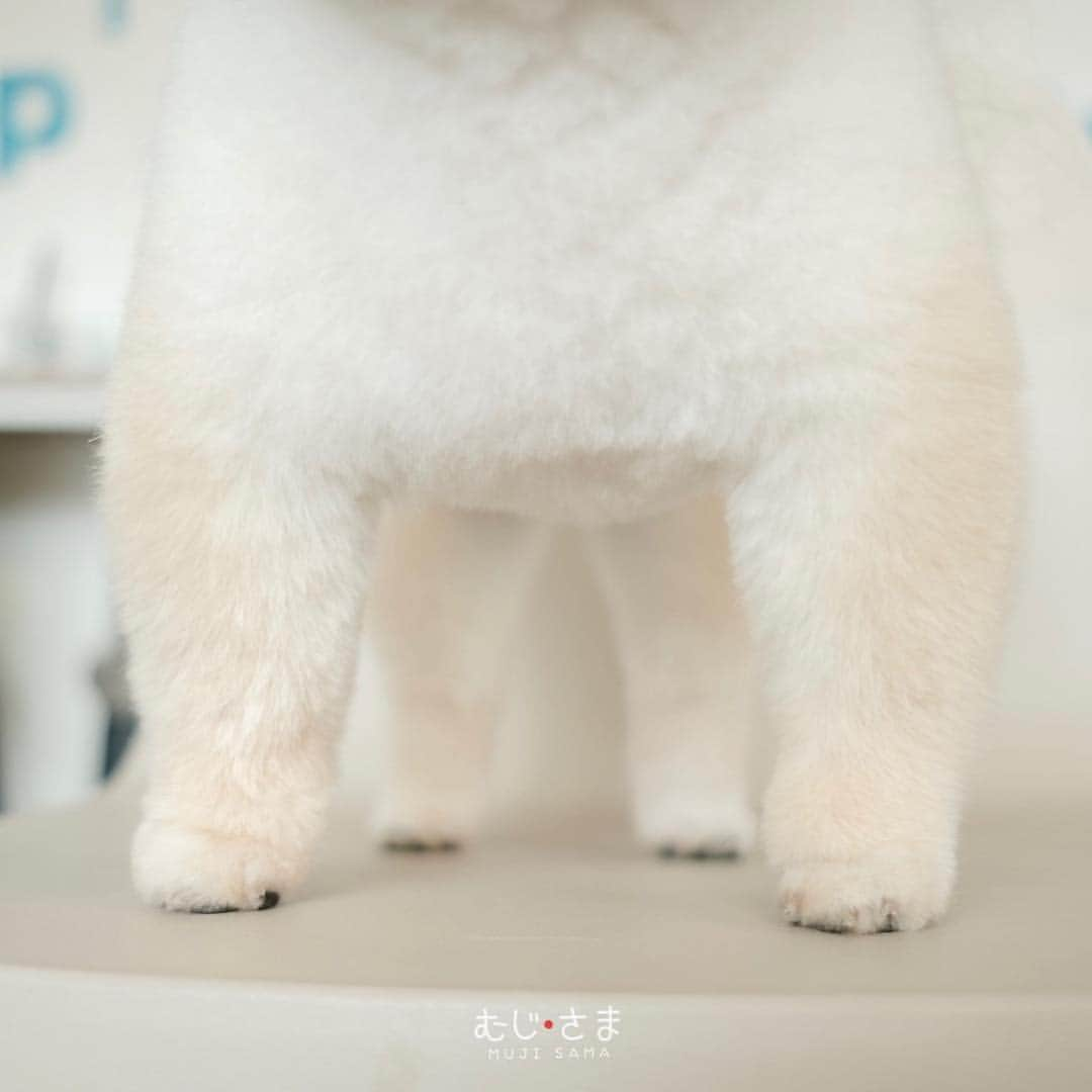 むじさまさんのインスタグラム写真 - (むじさまInstagram)「Spa time 💆🏻‍♂️ @captainquintparadise #captainquintparadise #mujisama」4月20日 15時50分 - mujisama