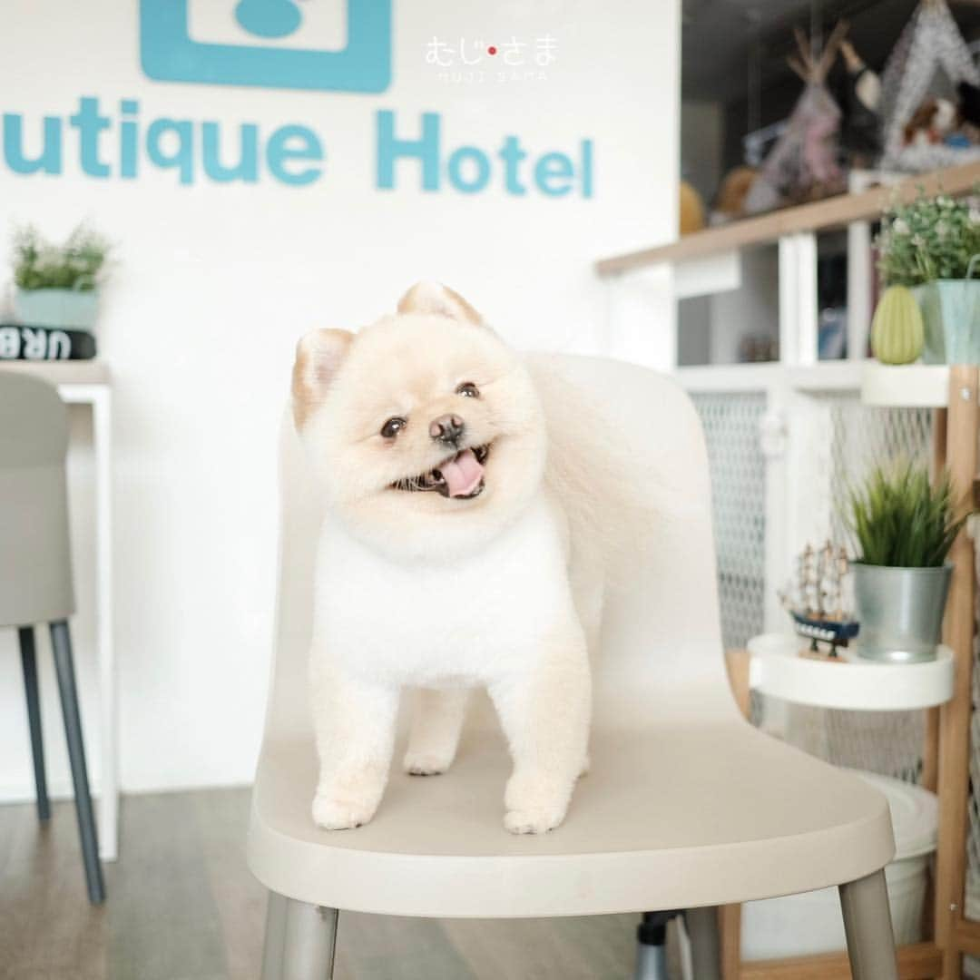 むじさまさんのインスタグラム写真 - (むじさまInstagram)「Spa time 💆🏻‍♂️ @captainquintparadise #captainquintparadise #mujisama」4月20日 15時50分 - mujisama