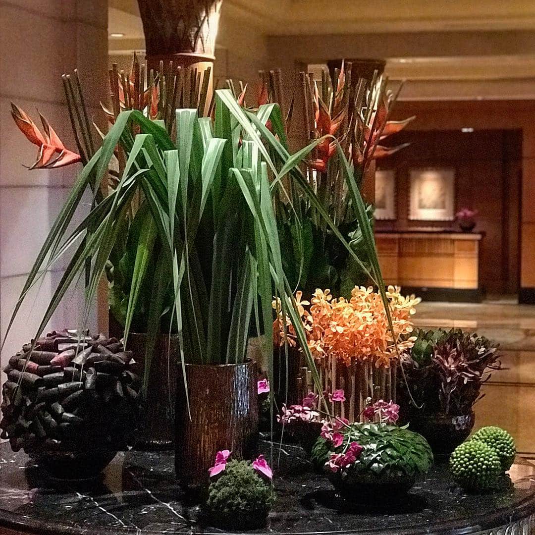 ニコライ・バーグマン・フラワーズ＆デザインさんのインスタグラム写真 - (ニコライ・バーグマン・フラワーズ＆デザインInstagram)「Our Lobby flowers at Four Seasons Hotel Singapore #fssingapore #nicolaibergmannteam #nicolaibergmann #ニコライバーグマン @fourseasons」4月20日 7時08分 - nicolaibergmann