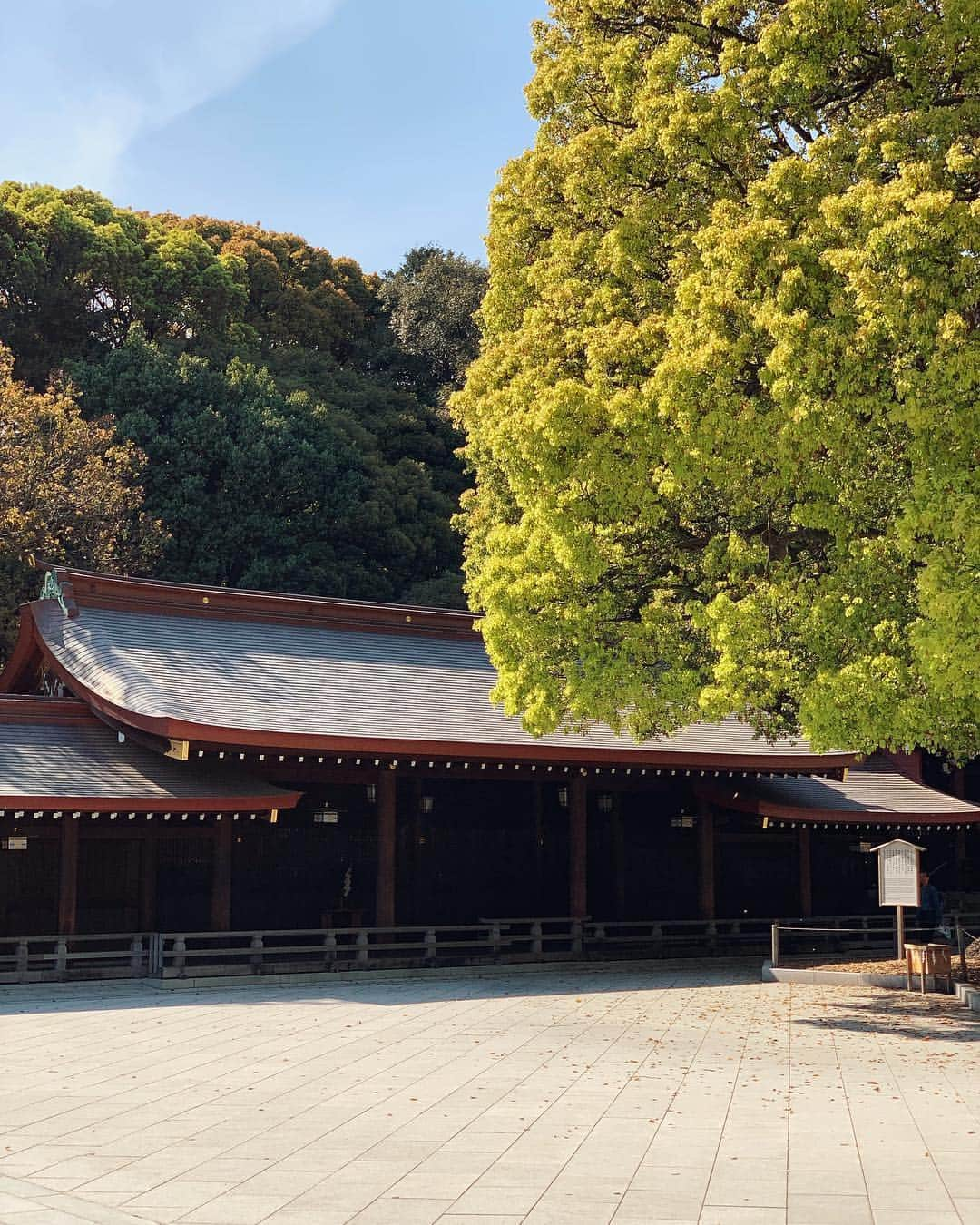 Reed Reederのインスタグラム：「⛩🌳 #reedersintokyo」