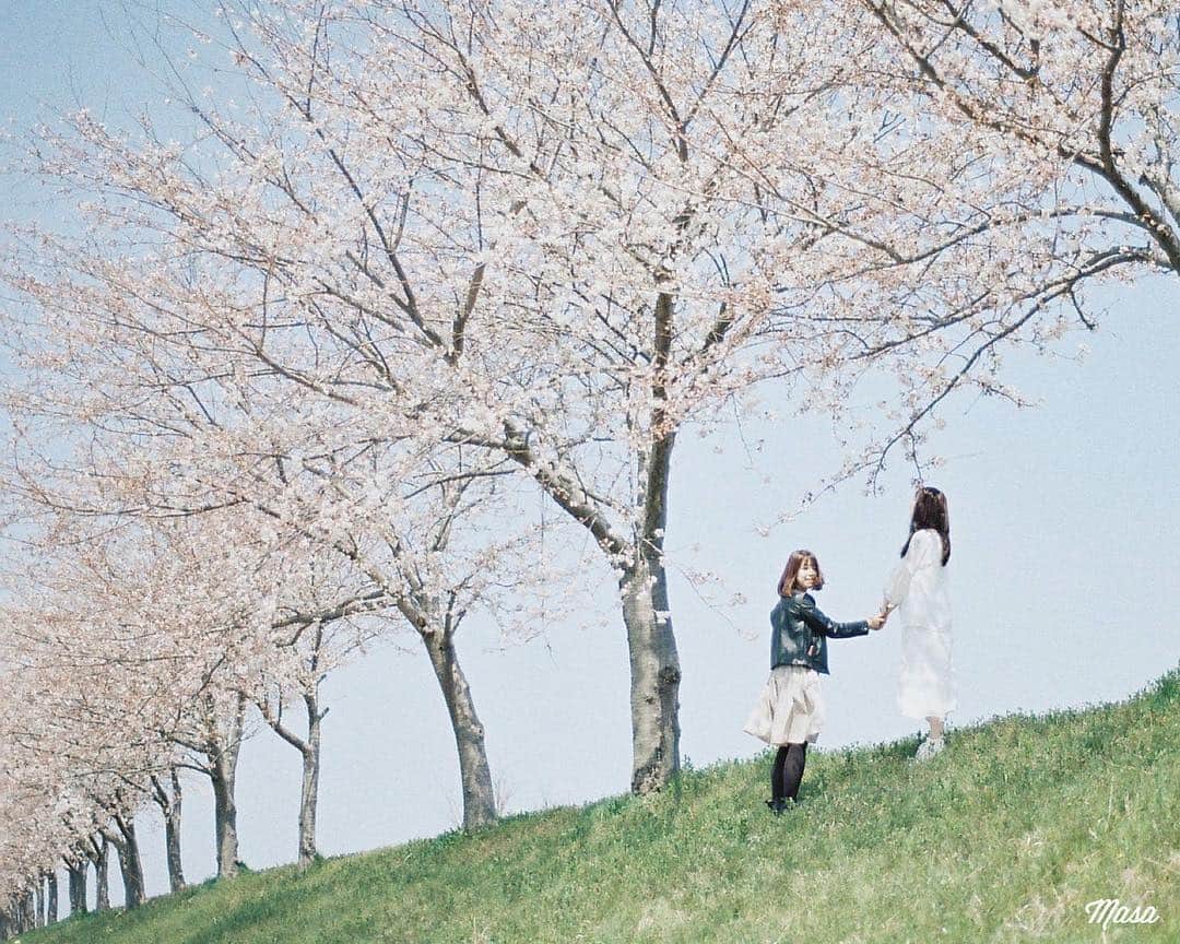 Masaさんのインスタグラム写真 - (MasaInstagram)「. . . 先週のフィルムがまだまだ現像に時間が掛かりそう😅 とりあえず、1日1枚のペースに戻すか。 . コメクロで🚪 . 撮影日 : 2019年4月6日 . #まさ35 #エビプリ #35mm #nikonfm2 #instagramjapan #igersjp #tokyocameraclub #film_com #impression_shots #art_of_japan_ #photogenic_jp #GPW_members_only #good_portraits_world #film_jp #film #フィルム #filmcamera #filmphotography #portrait #ポートレート #photogram_archive #todays_blue_collection #pof_ig #hibi_jp #桜 #Cherryblossom #滋賀 #青空」4月20日 7時13分 - masa_nikonist