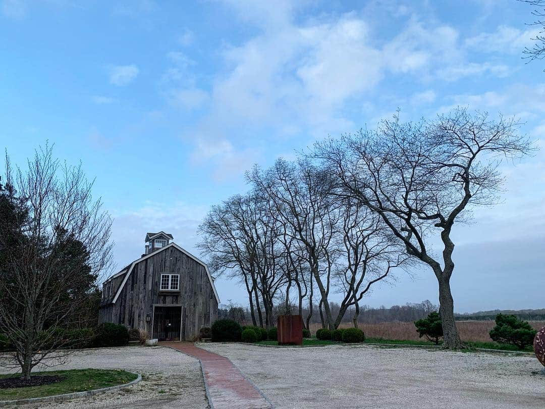 Monday満ちるさんのインスタグラム写真 - (Monday満ちるInstagram)「Feeling the beauty of the North Fork this #goodfriday  #beautiful #simplelife #simpleliving #maxmoranstudio #artistatelier #nofo #northfork #northforker #northforkli #jamesport」4月20日 7時31分 - mondaymichiru