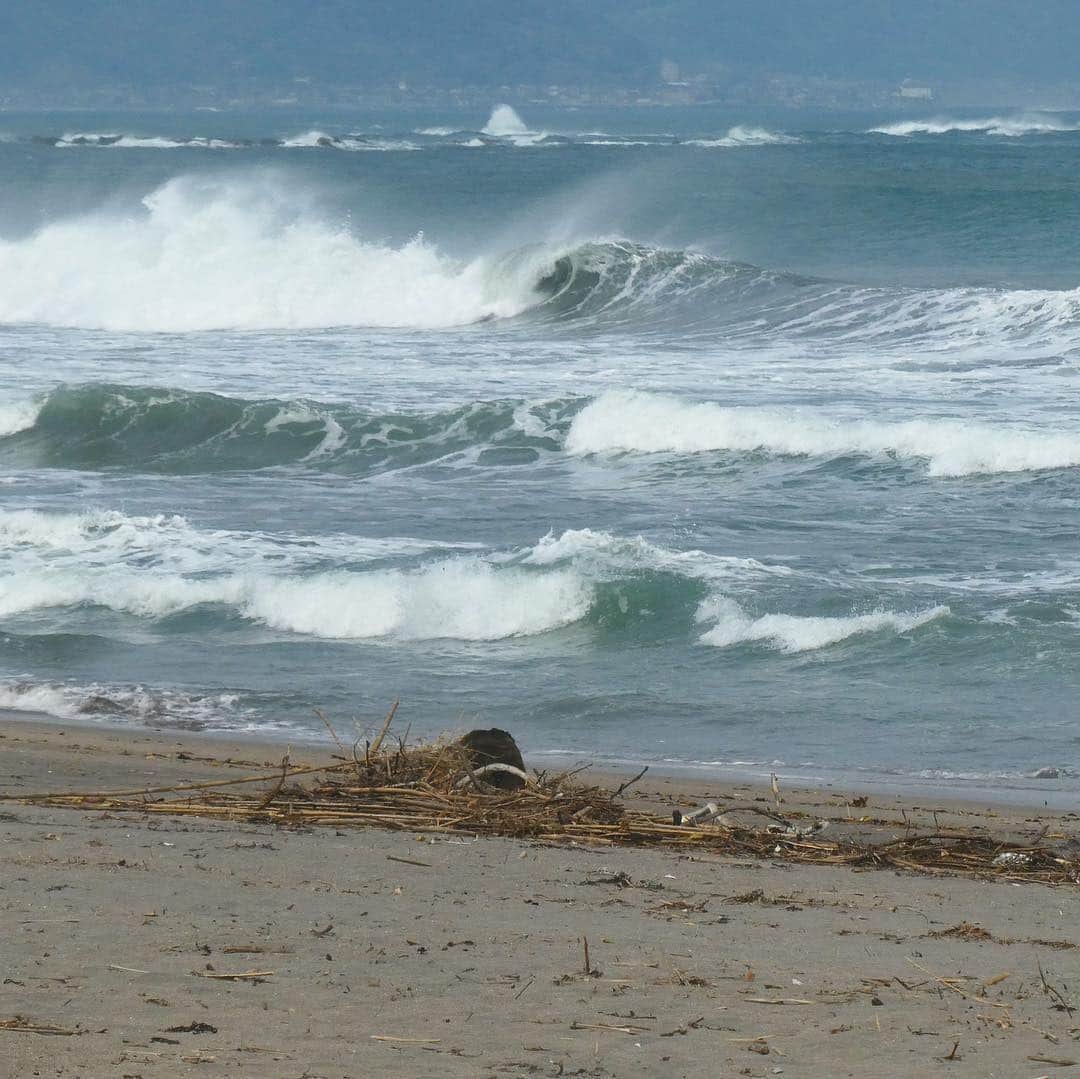 Isseki Nagaeさんのインスタグラム写真 - (Isseki NagaeInstagram)「Looks fun??,almost close out 😭😭 #surfinglife #beachlife🌴 #beachlife #wave #surfing  入らずに帰宅、、」4月20日 7時42分 - isseki_nagae