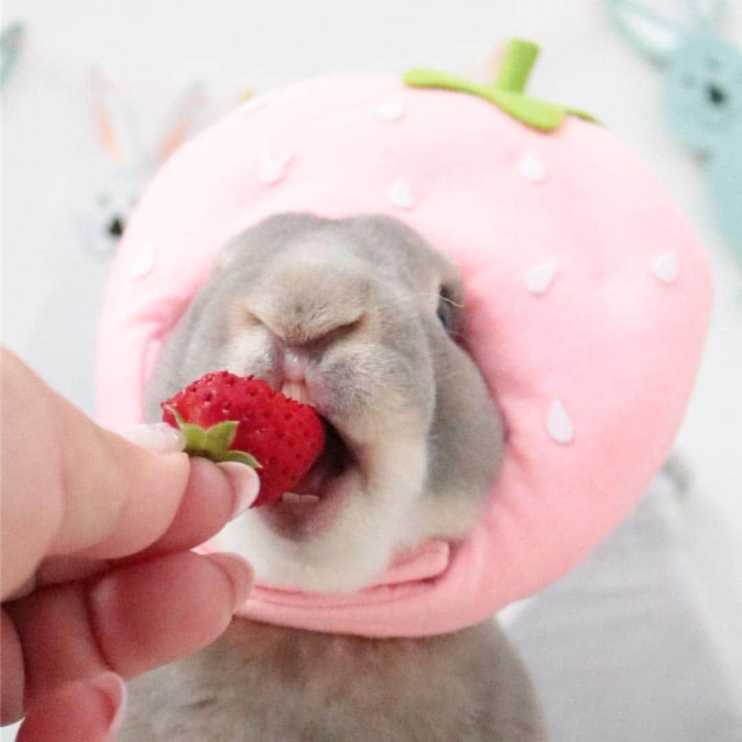 Kayoのインスタグラム：「おくちオクチおくち♡」