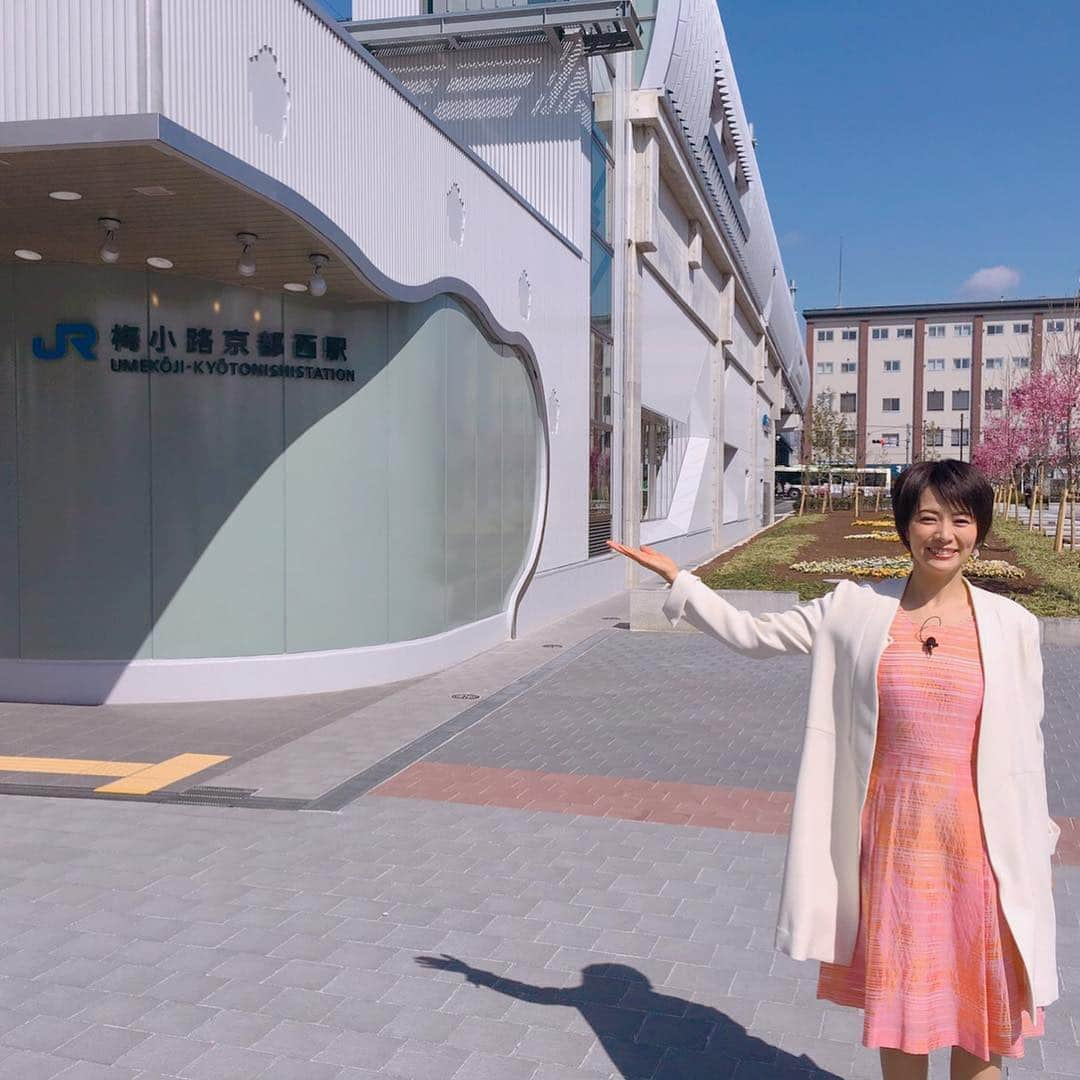 村井美樹さんのインスタグラム写真 - (村井美樹Instagram)「テレビ大阪「おとな旅あるき旅」http://www.tv-osaka.co.jp/ip4/tabi/ 三田村邦彦さんと一緒に、GＷに行きたい京都駅周辺の穴場&定番スポット巡り😆✨4月20日（土）18:30〜 ぜひご覧ください☺️TVerでも27日まで見逃し配信中です！https://tver.jp/lp/c0005131 . #おとな旅あるき旅 #村井美樹 #三田村邦彦 さん #京都 #梅小路京都西駅 #京都鉄道博物館 #0系 #500系 #c62 #朝からビール #slスチーム号 #東本願寺 #ずっと飲んでた #こけし #旅こけし #平賀輝幸工人」4月20日 9時27分 - miki_murai_