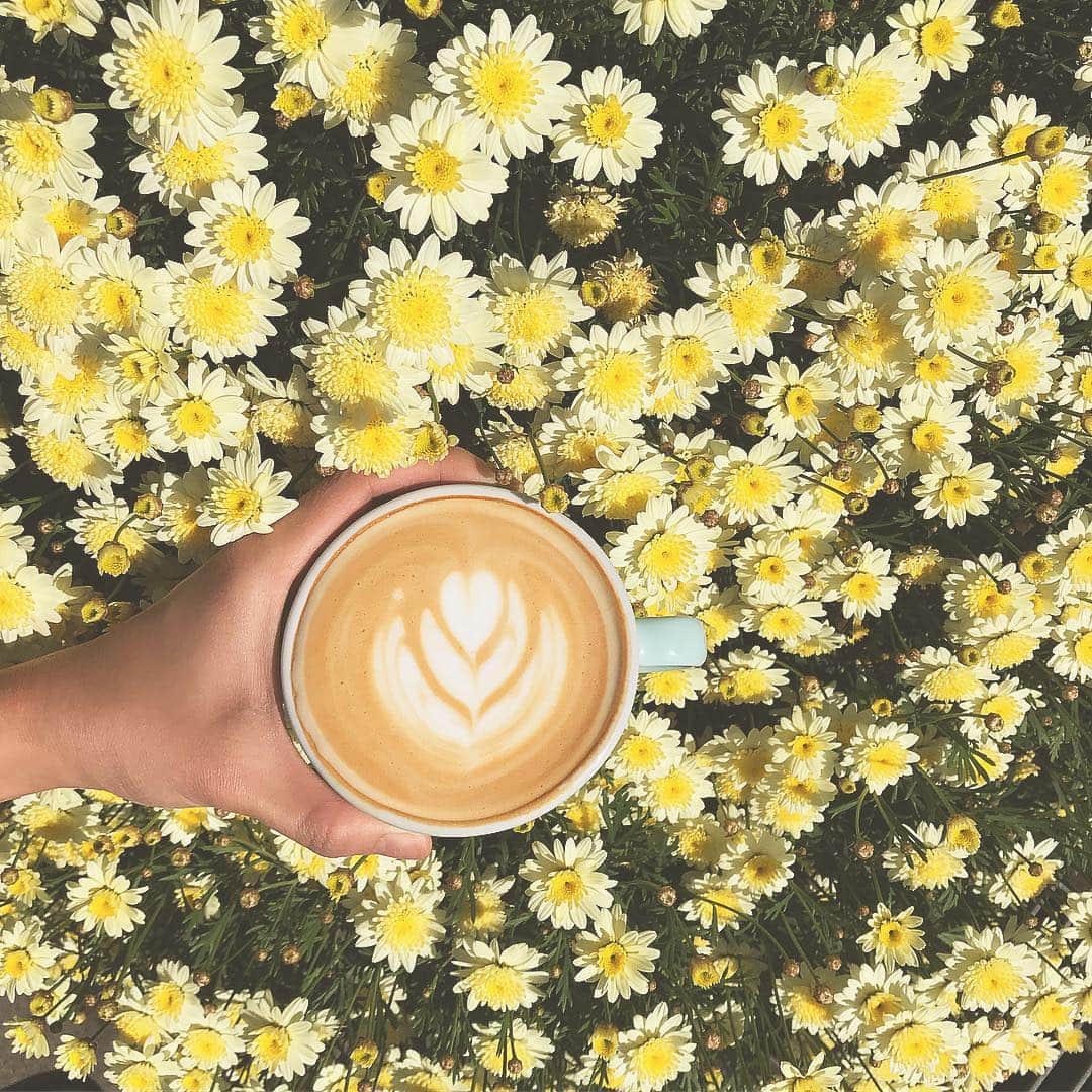 HeyCoffeeのグルメインスタ