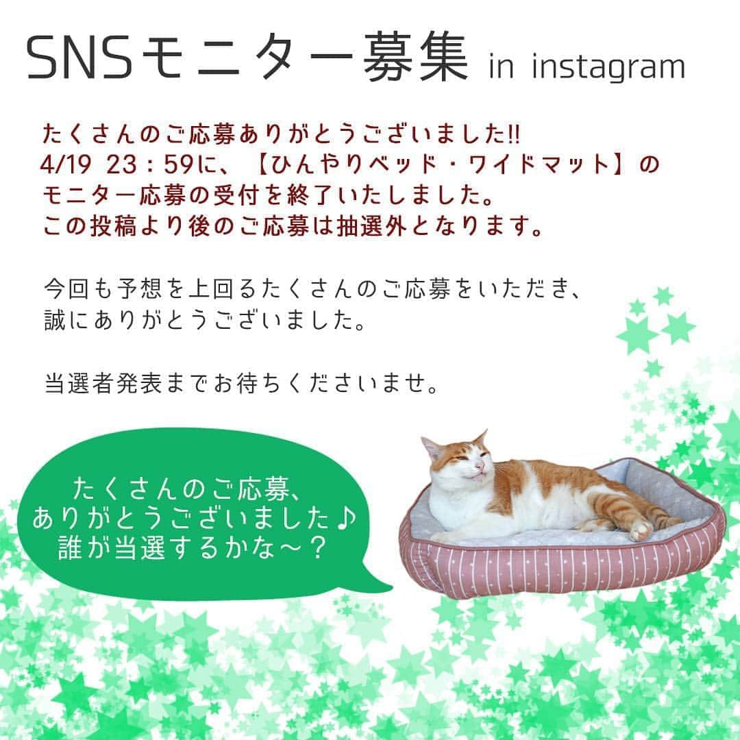 iDog&iCatさんのインスタグラム写真 - (iDog&iCatInstagram)「🛏 * #iDogSNSモニター応募 へのたくさんのご応募ありがとうございます。 エントリー応募は4/19 23:59に締切ました。これ以降のご応募は受け付けられませんのでご了承ください。 * 当選者発表までお楽しみに〜😁 * #idogicat #idog #iCat #犬の服idog」4月20日 9時25分 - idogicat