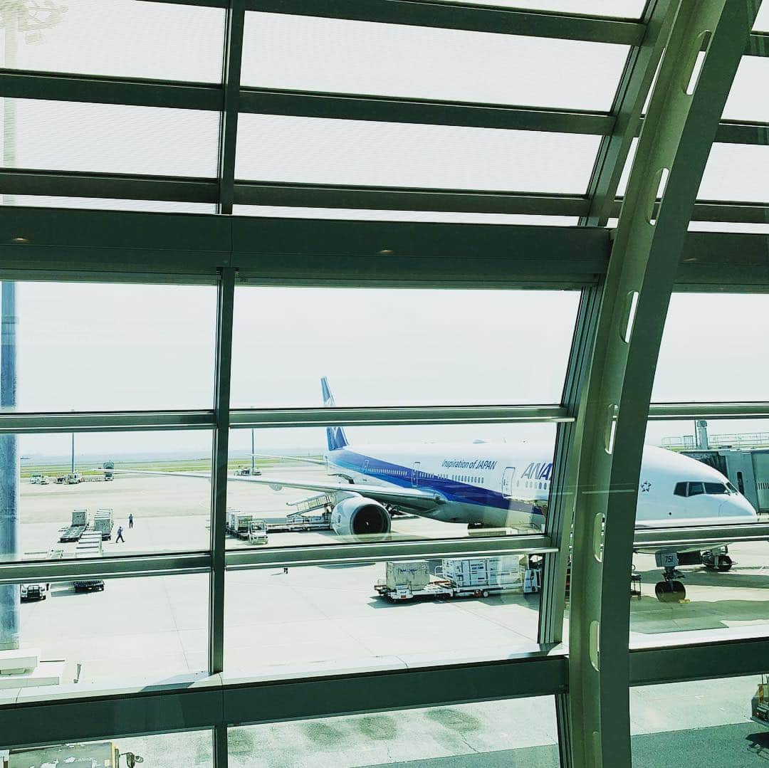 宮原健斗さんのインスタグラム写真 - (宮原健斗Instagram)「羽田空港→新千歳空港✈️ #これから #出発 #airport」4月20日 9時30分 - kento_miyahara