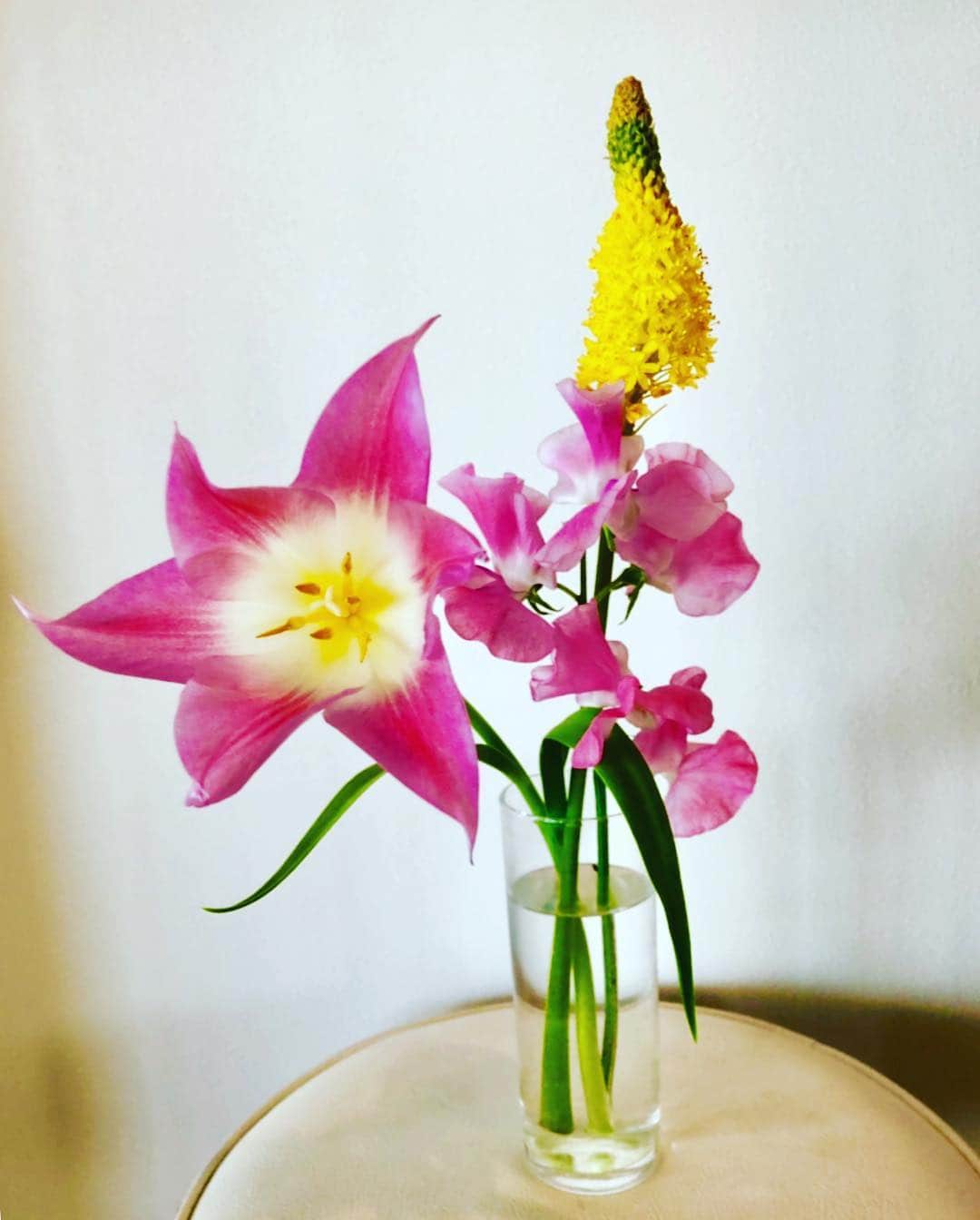 夏木マリさんのインスタグラム写真 - (夏木マリInstagram)「おはようございます。  種まきの季節になりましたね、、 人生の種まきは何？  よい週末を、、、 #おはようシリーズ #goodmorning  #goodvibes  #お花シリーズ #OneofloveプロジェクトGIG #6.18 #natsukirock  #marinatsuki #Corona #私を生きて #夏木マリ」4月20日 9時38分 - mari_natsuki
