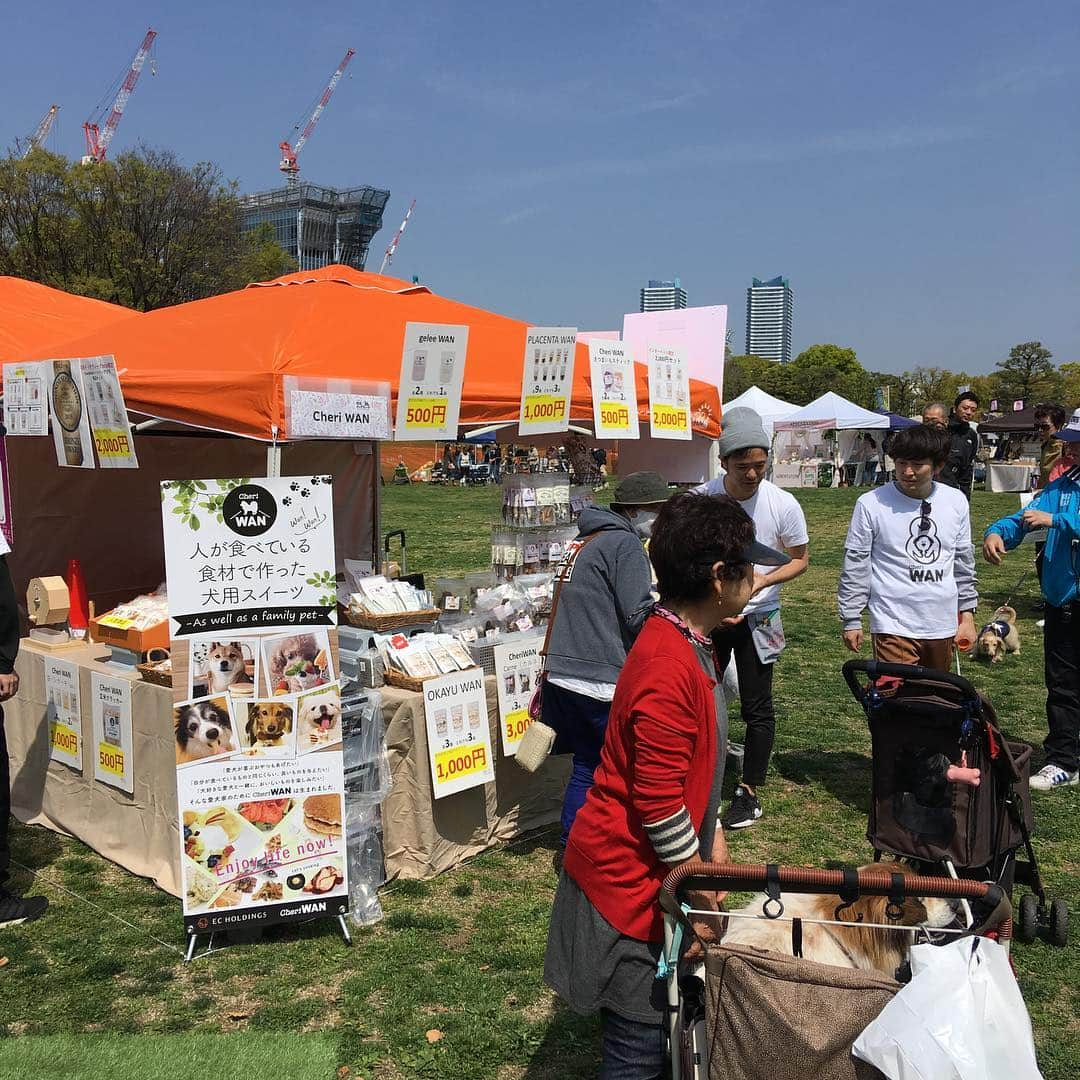 CheriWANさんのインスタグラム写真 - (CheriWANInstagram)「横浜ドッグウィーク  Marine Dog Party 2019 始まりました⭐️ 試食もたくさんご用意してます❣️まるでバイキング？！ ご来場お待ちしております🐶  #横浜ドッグウィーク #犬用パンケーキ #シェリーワン #ワンコ米粉パンケー #cheriwan #marindogfes」4月20日 10時04分 - cheriwan_official