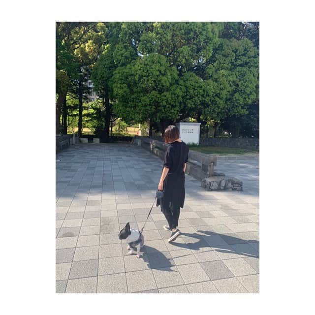 田中美保さんのインスタグラム写真 - (田中美保Instagram)「モフ散歩🚶‍♂️🚶‍♂️🚶‍♂️ この間撮影の時一目惚れした@freaksstore_officialのワンピース。 オレンジとベージュもあったけどやっぱり大好きな黒をチョイス😂 軽くてふんわり、着心地もいいし涼しいから夏も活躍しそう。 シャツワンピだから前をあけて羽織としても使える〜♡ 夏は水着👙の上にサラッと着ても可愛いかもぉ〜♡ #freaksstore #シャツワンピ #ワンピース #ふんわり #春服 #モフ散歩 #愛犬 #フレンチブル」4月20日 10時12分 - miho12tanaka