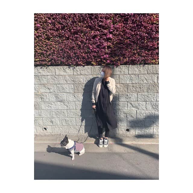 田中美保さんのインスタグラム写真 - (田中美保Instagram)「モフ散歩🚶‍♂️🚶‍♂️🚶‍♂️ この間撮影の時一目惚れした@freaksstore_officialのワンピース。 オレンジとベージュもあったけどやっぱり大好きな黒をチョイス😂 軽くてふんわり、着心地もいいし涼しいから夏も活躍しそう。 シャツワンピだから前をあけて羽織としても使える〜♡ 夏は水着👙の上にサラッと着ても可愛いかもぉ〜♡ #freaksstore #シャツワンピ #ワンピース #ふんわり #春服 #モフ散歩 #愛犬 #フレンチブル」4月20日 10時12分 - miho12tanaka