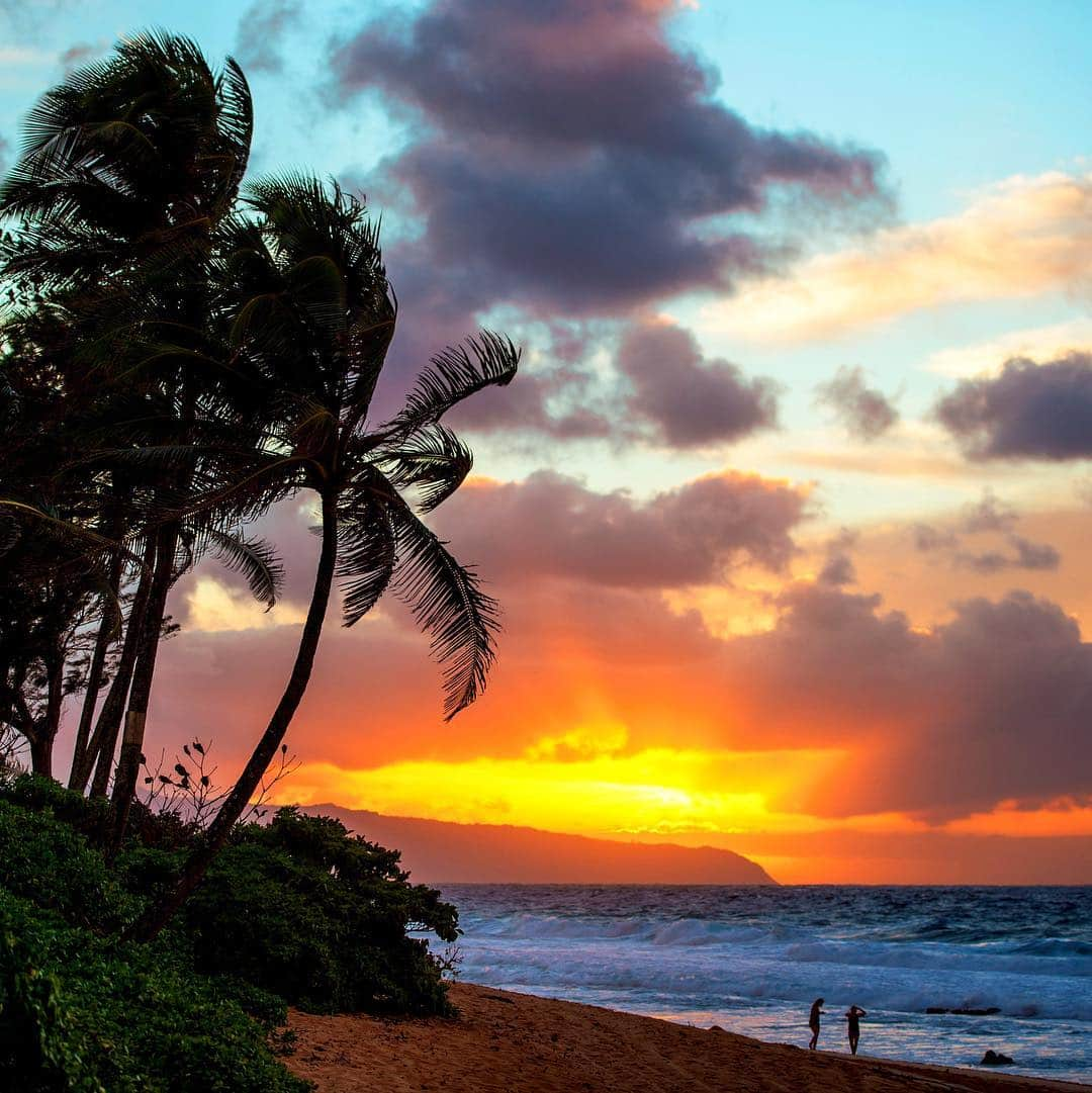 クラーク・リトルさんのインスタグラム写真 - (クラーク・リトルInstagram)「🌴🌴🌅 #hawaii #paradise #clarklittle 🆑」4月20日 10時10分 - clarklittle