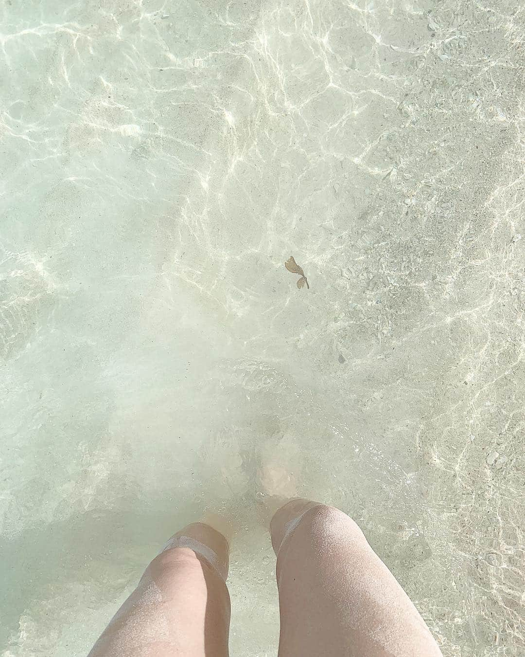 板橋瑠美さんのインスタグラム写真 - (板橋瑠美Instagram)「いい天気だなぁ♡ ・ 早く海へ行きたいなー◟̊◞̊ ◟́◞̀ ◟̆◞̆ ・ 今年も夏が楽しみだ(＊´ω｀＊)”」4月20日 12時12分 - rumi_official_0616