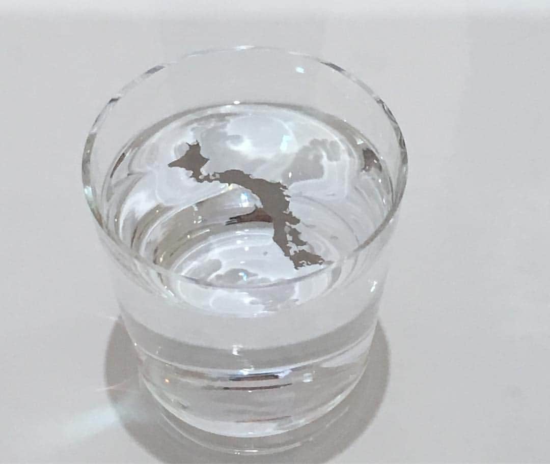 小橋めぐみのインスタグラム：「水に浮かべる日本列島の方位磁針。 長々とブログに書いたので、よろしければ。前編、中編と書き、明日後編。プロフィールから飛べます🕊 #横須賀美術館 #グッズとしても売ってます #買い忘れました #方向音痴です」