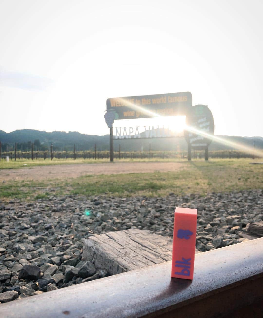 アン・カーティスのインスタグラム：「#blktravels California made it Napa! @blkcosmeticsph」