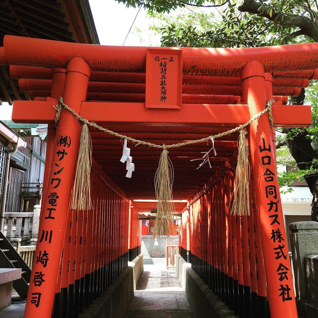 のインスタグラム：「仕事の前に源義経が戦勝祈願したという大歳神社にお参り〜  123段の石段、太ももパンパン  #下関」