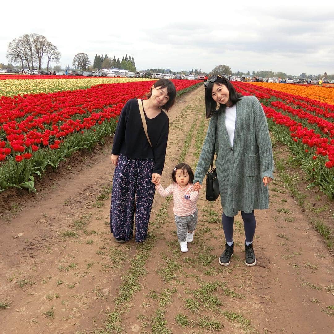 栗山麗美さんのインスタグラム写真 - (栗山麗美Instagram)「🌷Wooden Shoe Tulip Festival🌷  こんなにたくさんのチューリップを見たの初めて😳✨ ・ ・ It was so awesome! There were many colors and varieties tulips there, so we were able to take nice pictures.  #woodenshoetulipfestival #woodburn #oregon #portland #アメリカ暮らし #ポートランド生活 #ポートランド #アメリカ育児 #アメリカ子育て」4月20日 14時28分 - reimi.kuriyama