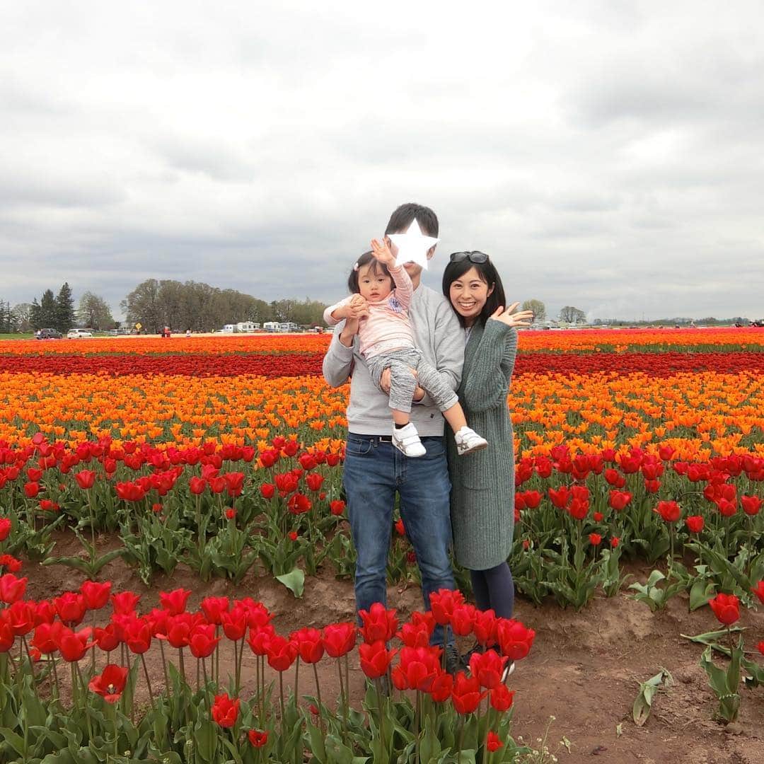 栗山麗美のインスタグラム：「🌷Wooden Shoe Tulip Festival🌷  こんなにたくさんのチューリップを見たの初めて😳✨ ・ ・ It was so awesome! There were many colors and varieties tulips there, so we were able to take nice pictures.  #woodenshoetulipfestival #woodburn #oregon #portland #アメリカ暮らし #ポートランド生活 #ポートランド #アメリカ育児 #アメリカ子育て」