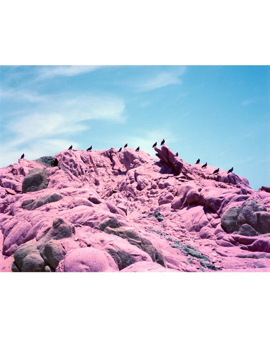Vogue Italiaさんのインスタグラム写真 - (Vogue ItaliaInstagram)「@ferklint received the 3rd prize at @phmuseum 2019 Photography Grant thanks to the project ‘Dystopia’, a striking visual essay that can be viewed as a reflection upon society’s transition to post-humanism. The work looks to question what new forms of behaviour will be induced by the rise of technology and what paradigms will exist as we continuously migrate to digital communication platforms. See all the results at phmuseum.com/grant. Swipe to take a look at the series.」4月20日 23時57分 - vogueitalia