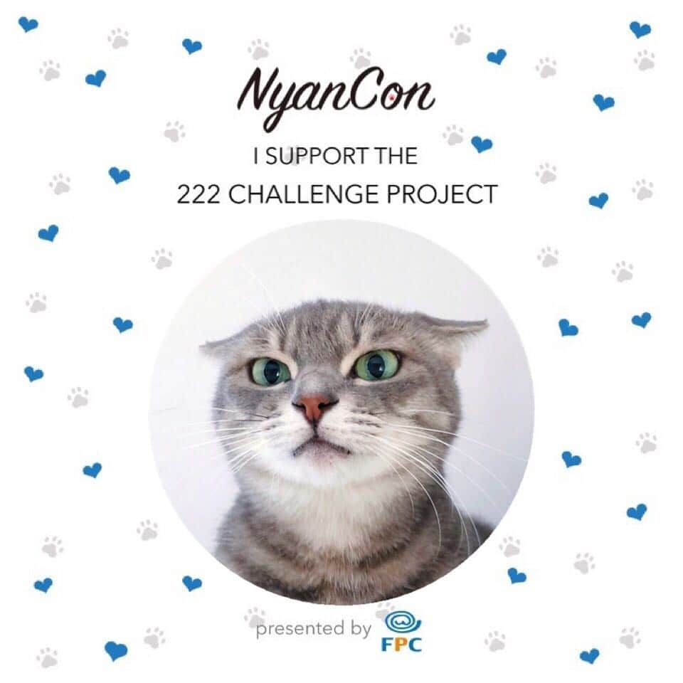 marikill66さんのインスタグラム写真 - (marikill66Instagram)「✼ 222 CHALLENGE PROJECT🐾 サポーニャンに参加します😼 * #nyancon01 #222サポーニャン * * #catstagram #catsofinstagram #cat_features #catsofday #instacat_meows #instacat_models #IGersJP #pelotto #rakutenpet #ねこ部 #関西ねこ部 #ふわもこ部 #ペコねこ部 #ペトこと猫部 #無敵の親バカ同盟 #みんねこ #ピクネコ #スタペグラム #ペットスマイル #猫びよりプラス #ねこのきもち #今日のうちの子🐶🐱 #サンデイ #朝ワンコ夕ニャンコ #サバトラ #美ニャン祭 * #fukushincha #marikill66_0421」4月21日 0時13分 - marikill66