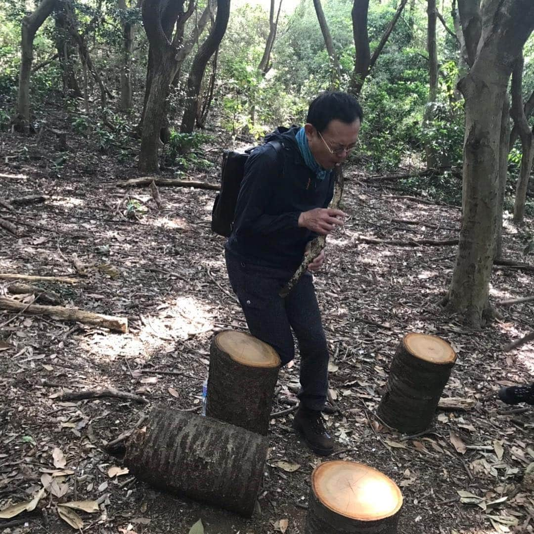 江藤あやさんのインスタグラム写真 - (江藤あやInstagram)「近藤芳正さんとゆかいな仲間たち（笑） 森で釣りしたり、火起こしたり、森の音楽隊🎵とかね（笑） 山登りしながらずーっと笑い声が絶えなかったなぁ。 筋肉痛は体だけじゃなくてお腹にもきそう。 ・ 覚園寺は本当に素晴らしかった！！ 景色の美しさに溜め息が出るほど。50分の説明を聞いて、仏像にもうっとり。 ・ トレッキングシューズを履いて、トレッキングするのは初めてでしたが、山の魅力にハマりました。また季節が変わる頃行きたいなぁ。 お誘いお待ちしてます🎵 本日の新しい出会いに感謝します。 ・ #鎌倉の森 #トレッキング #きたかまくら日々響  #近藤芳正 さん #ゆかいな仲間たち」4月21日 0時23分 - ayayakko19